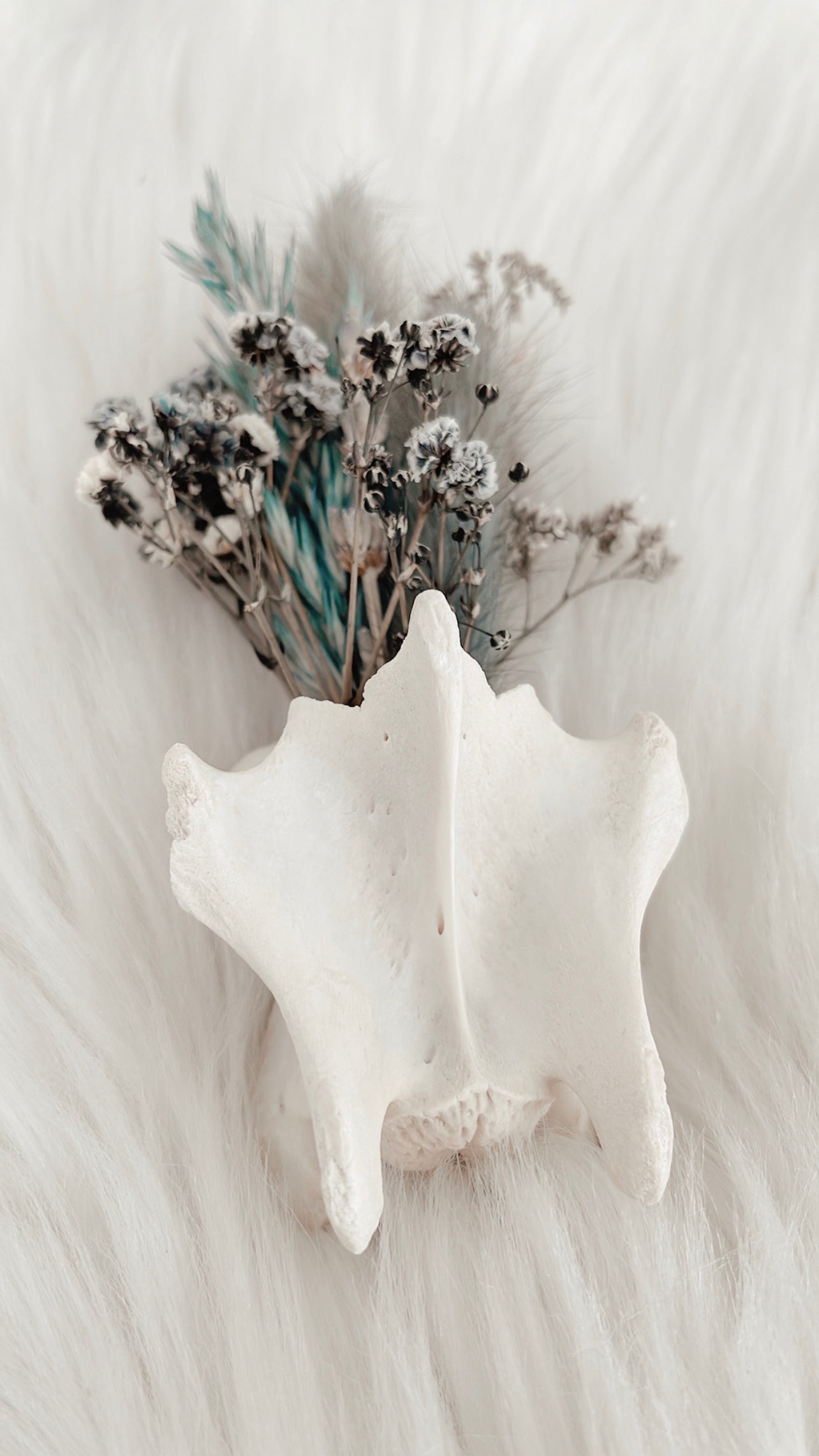 Fawn Vertebrae Floral - Teal