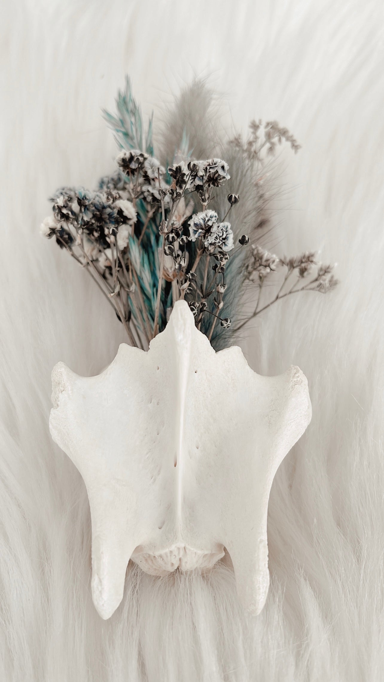 Fawn Vertebrae Floral - Teal