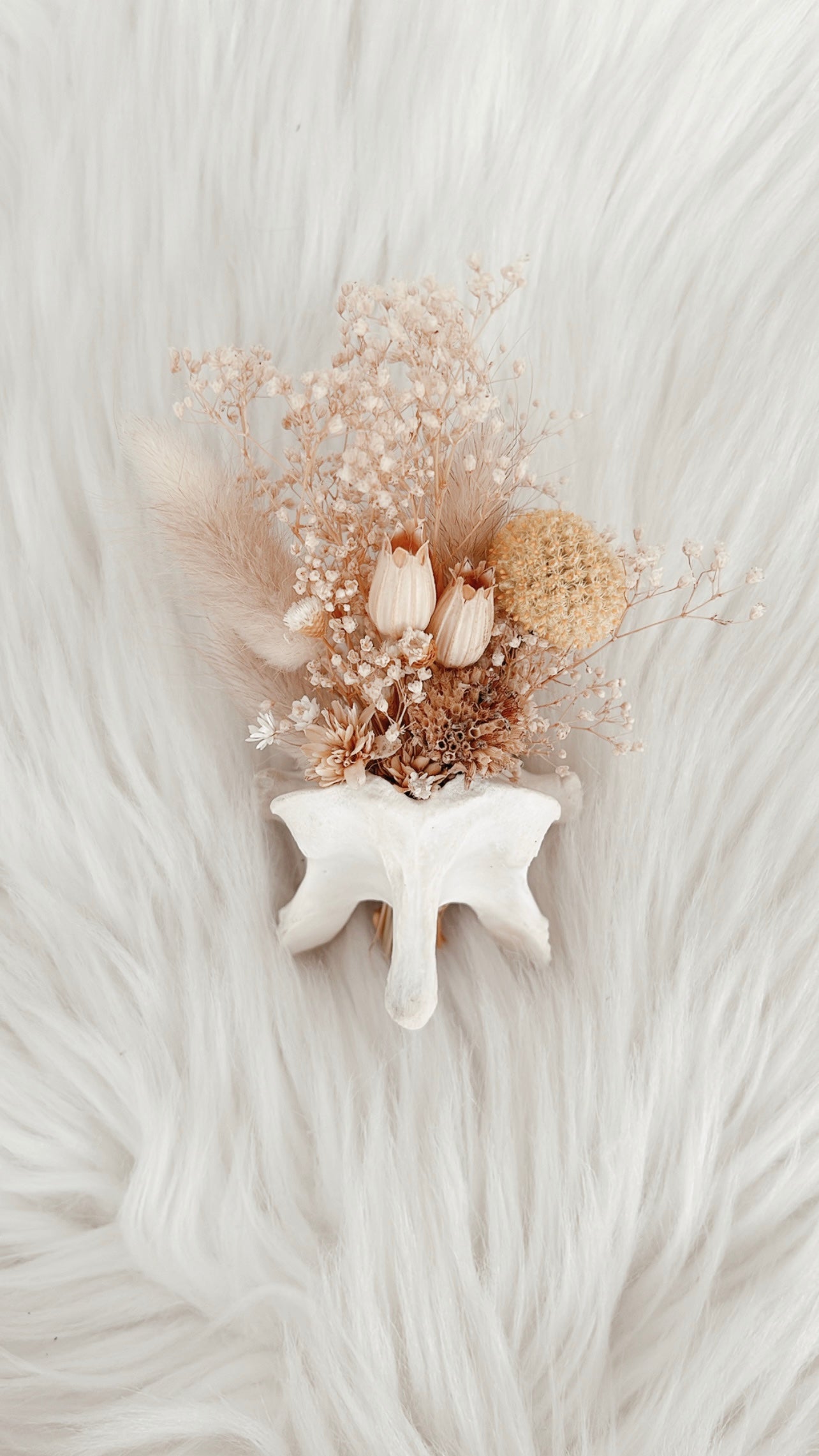 Fawn Vertebrae Floral - Yellow