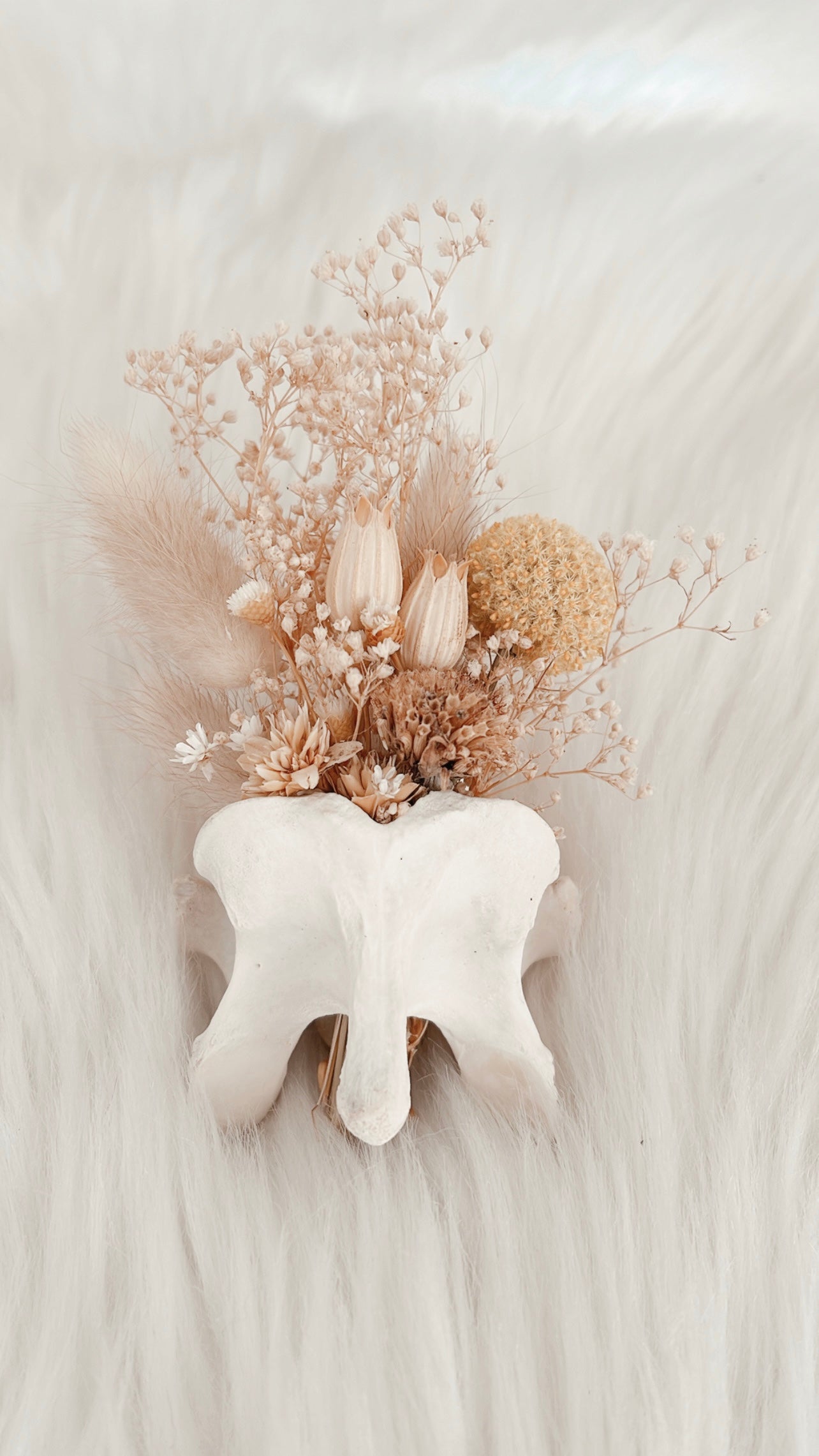Fawn Vertebrae Floral - Yellow