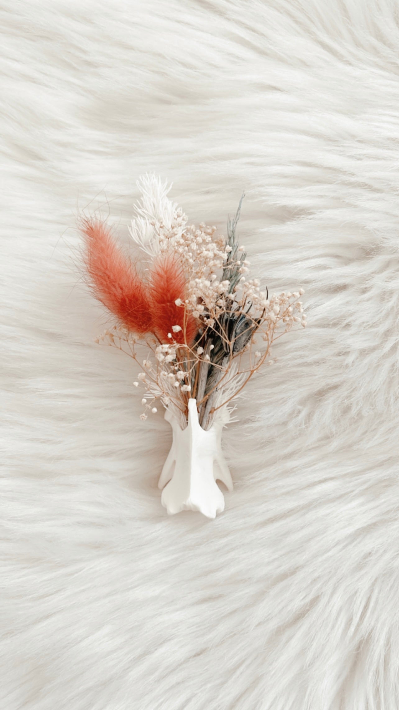 Coyote Vertebrae Floral