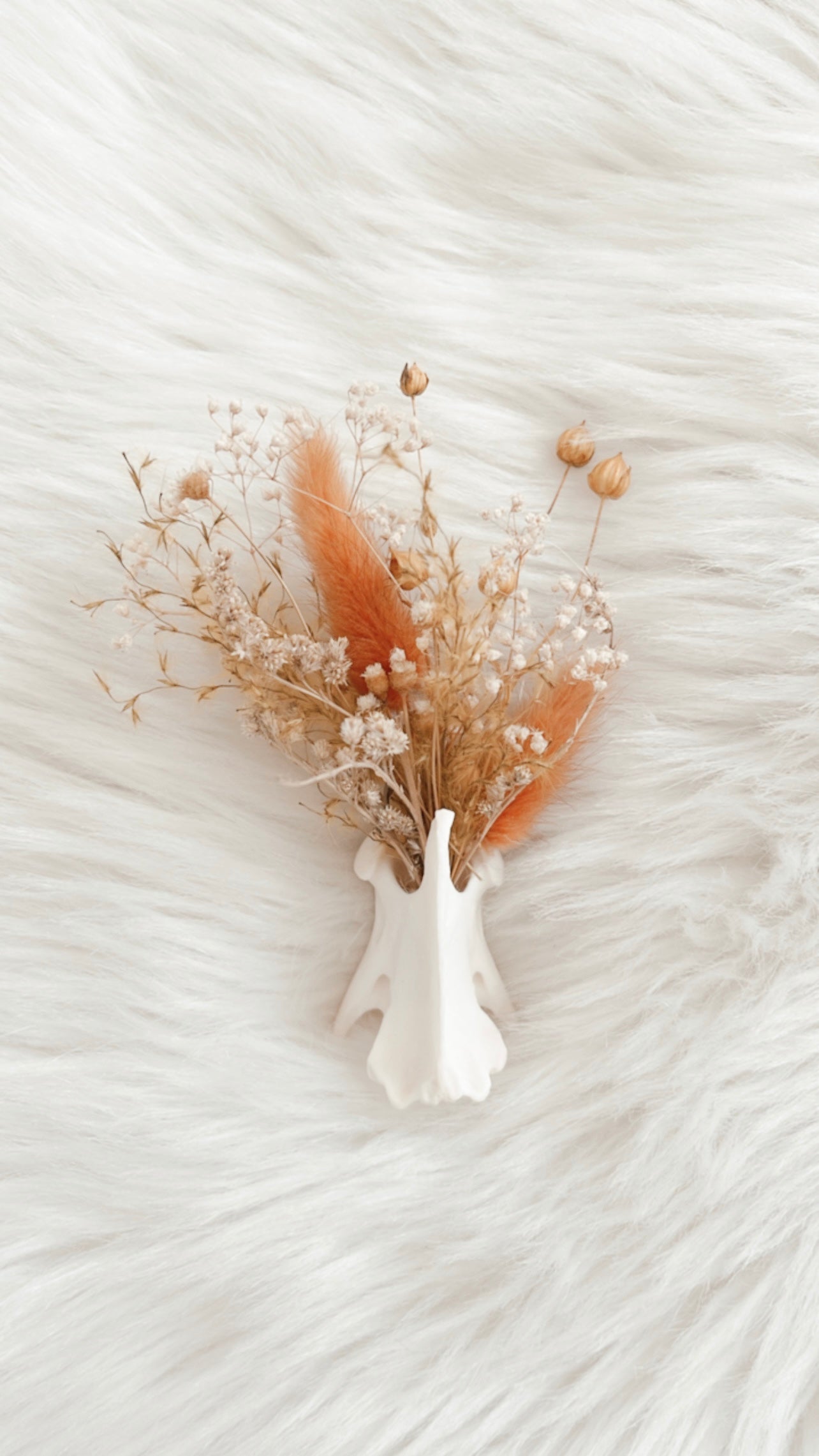 Coyote Vertebrae Floral