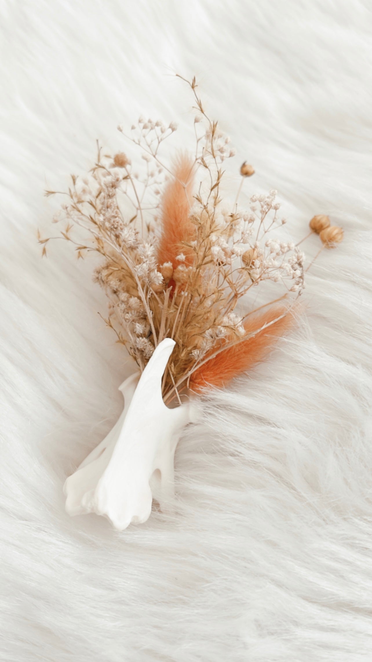 Coyote Vertebrae Floral