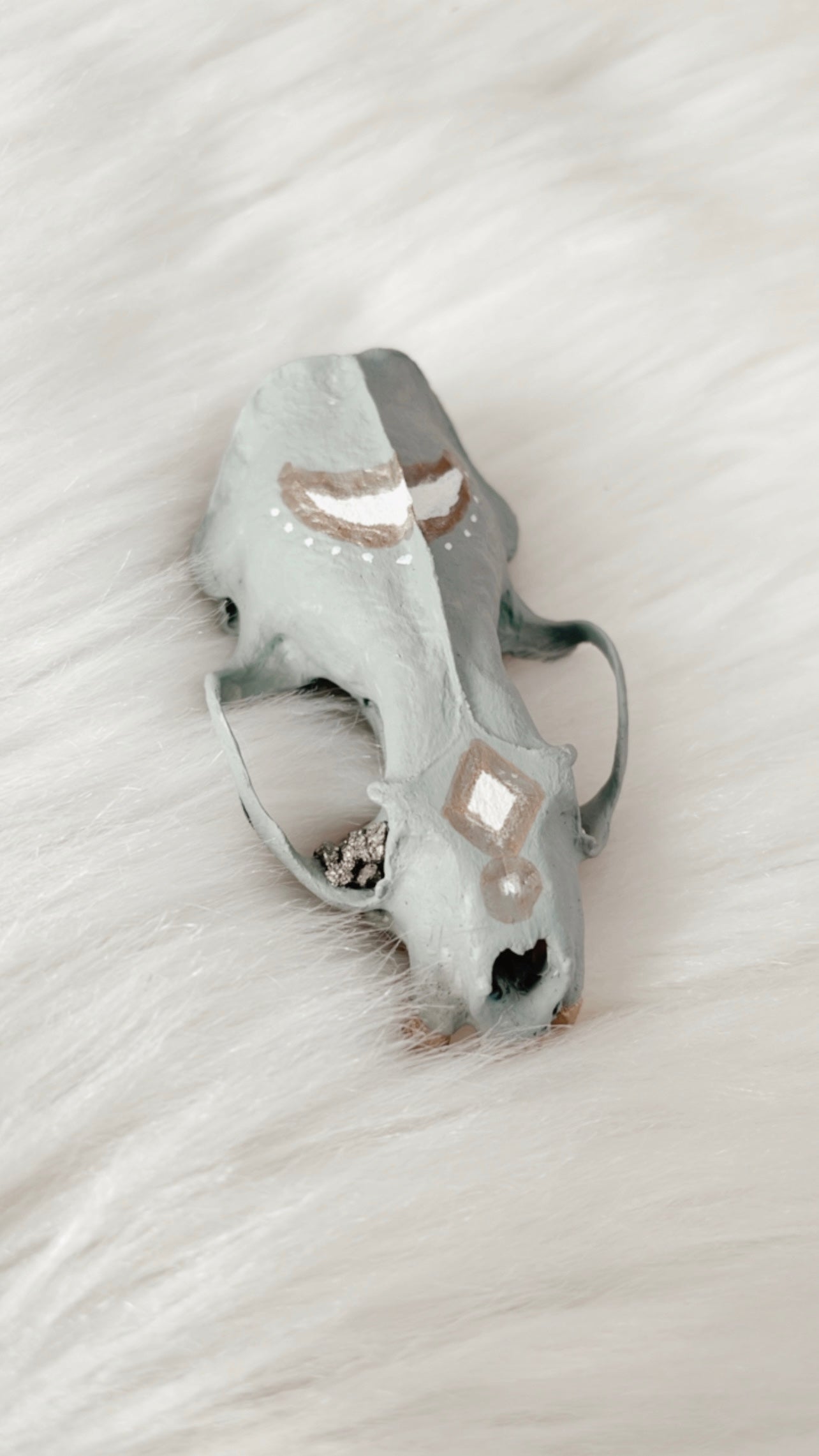 Cullen Mink Skull