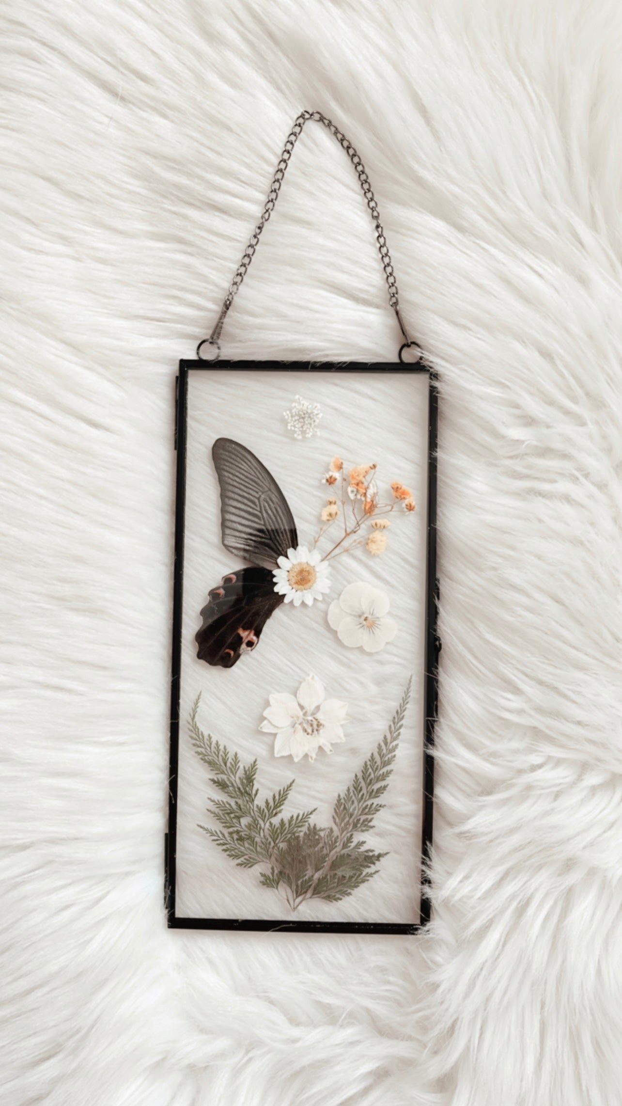 Custom Frame Order for NE