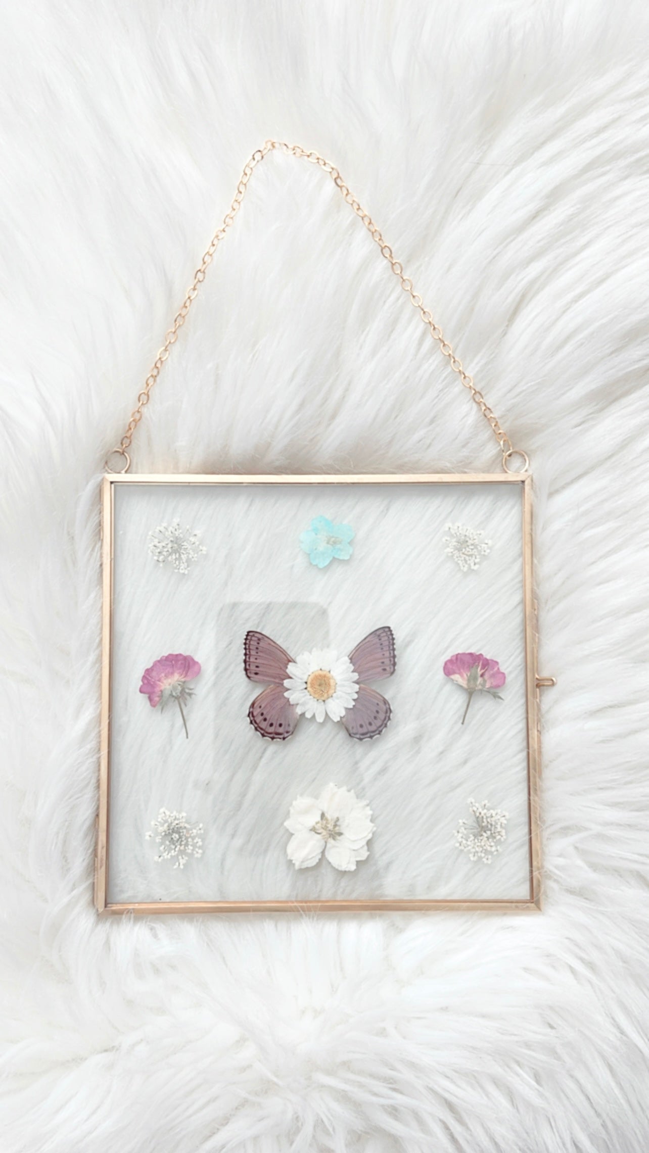 Dahlia Butterfly Floral Frame