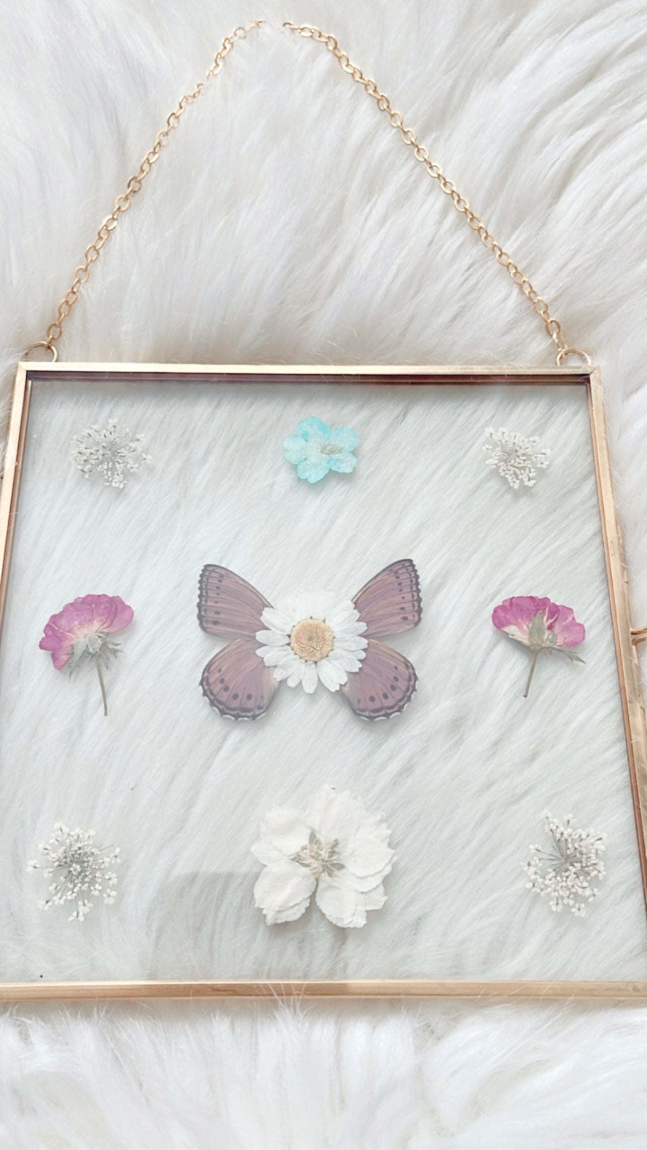 Dahlia Butterfly Floral Frame <6x6in>