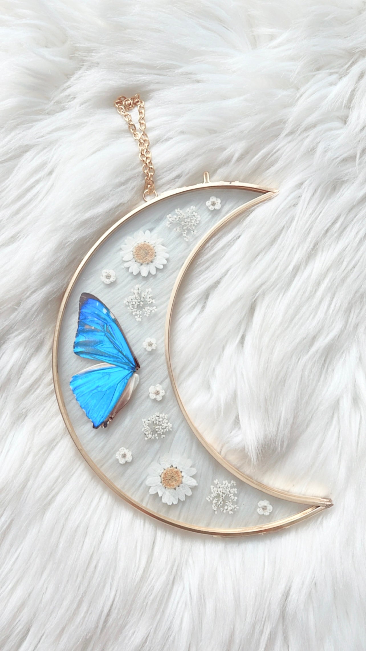 Dahlia Butterfly Moon Floral Frame
