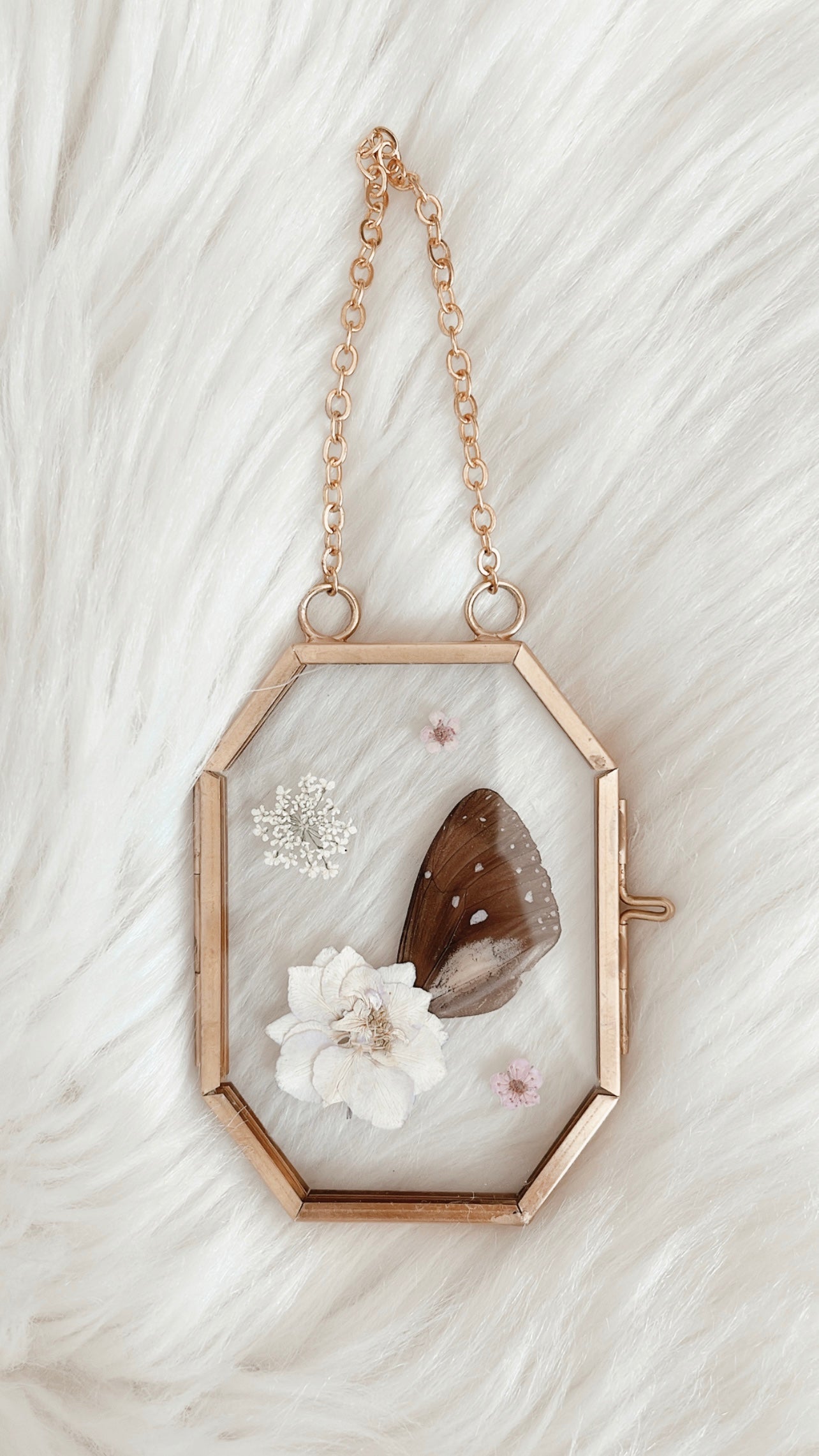 Danica Butterfly Floral Frame