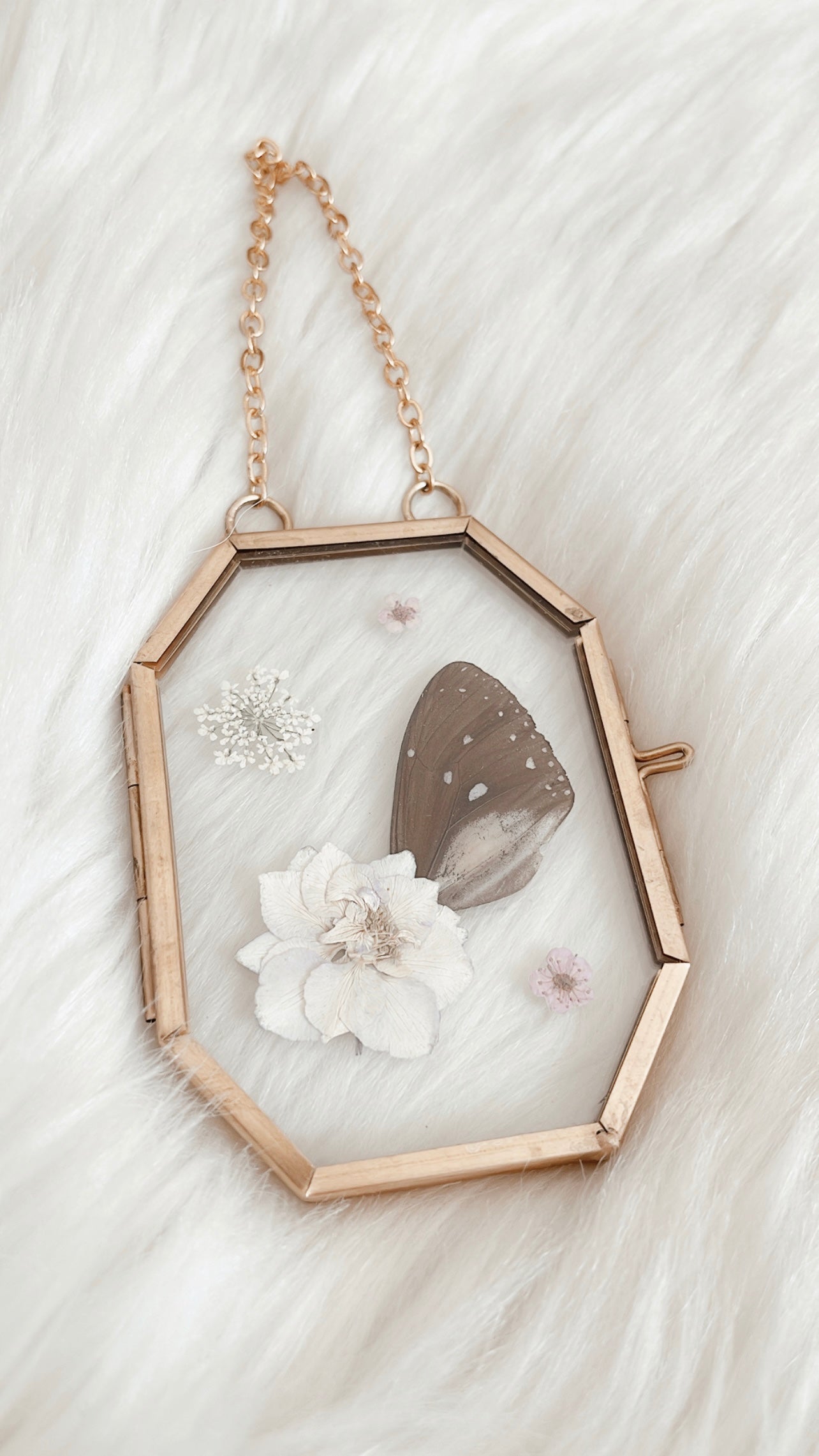 Danica Butterfly Floral Frame