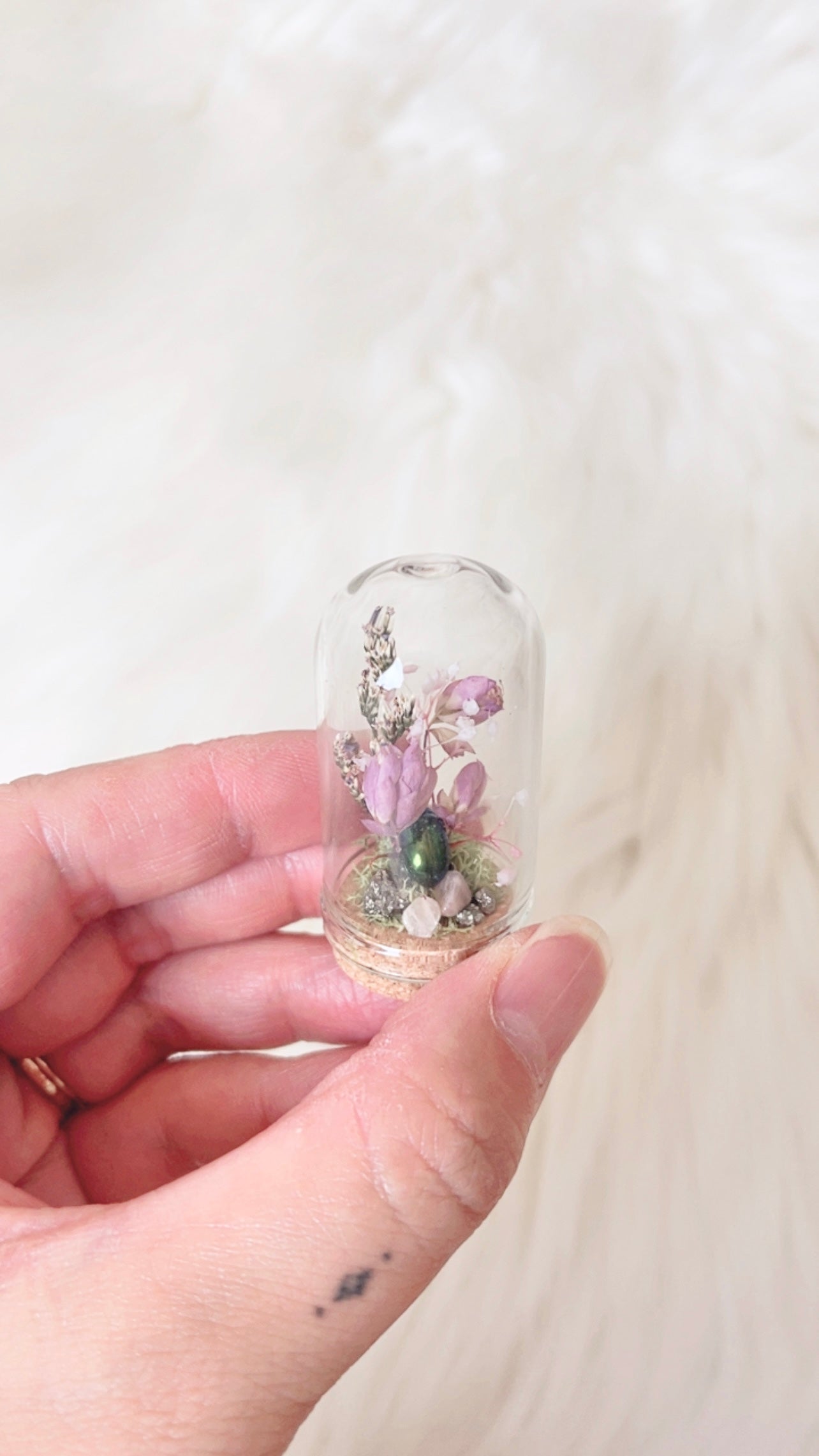 Daria Mini Terrarium