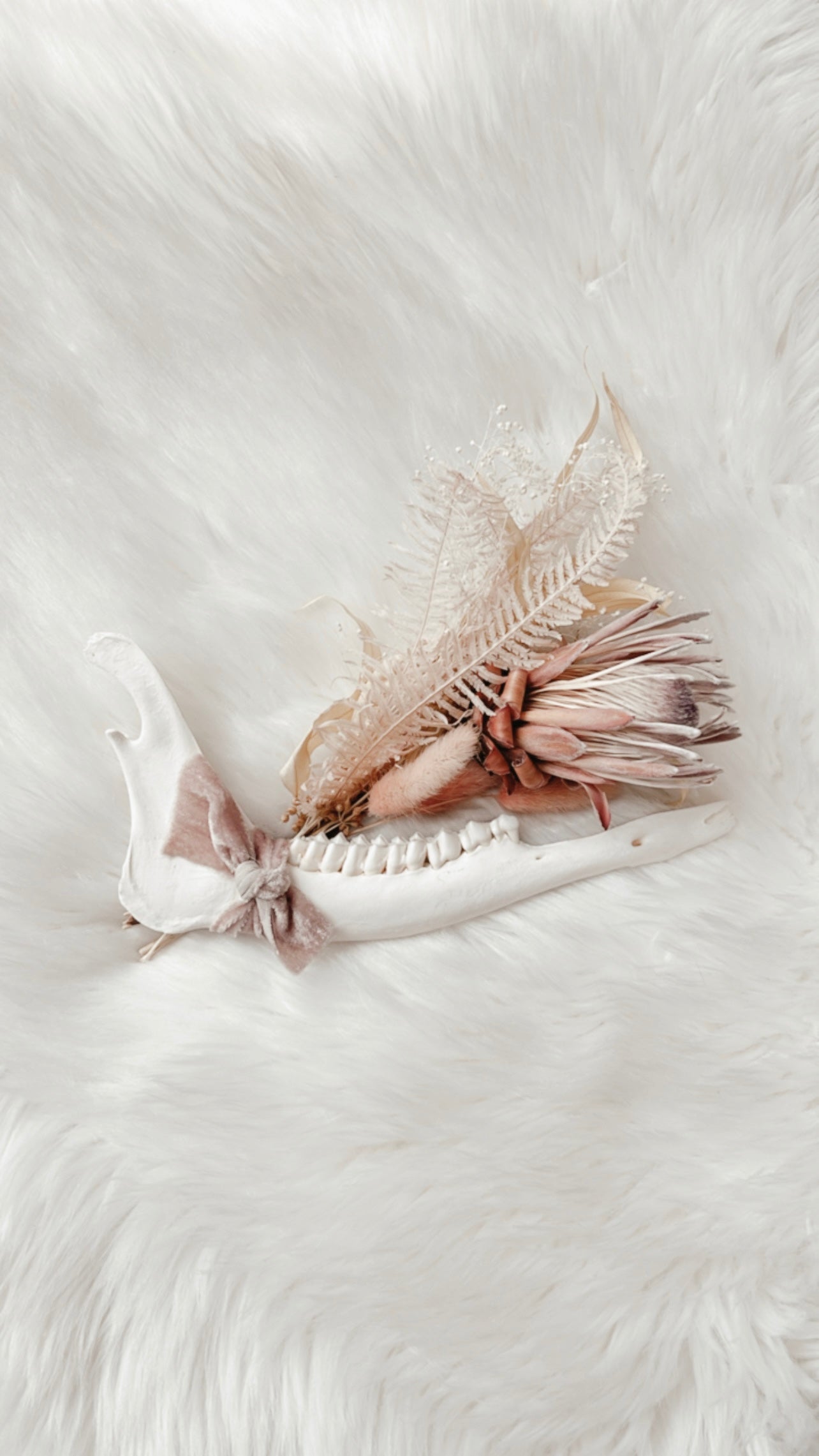 Deer Jaw Floral - Protea