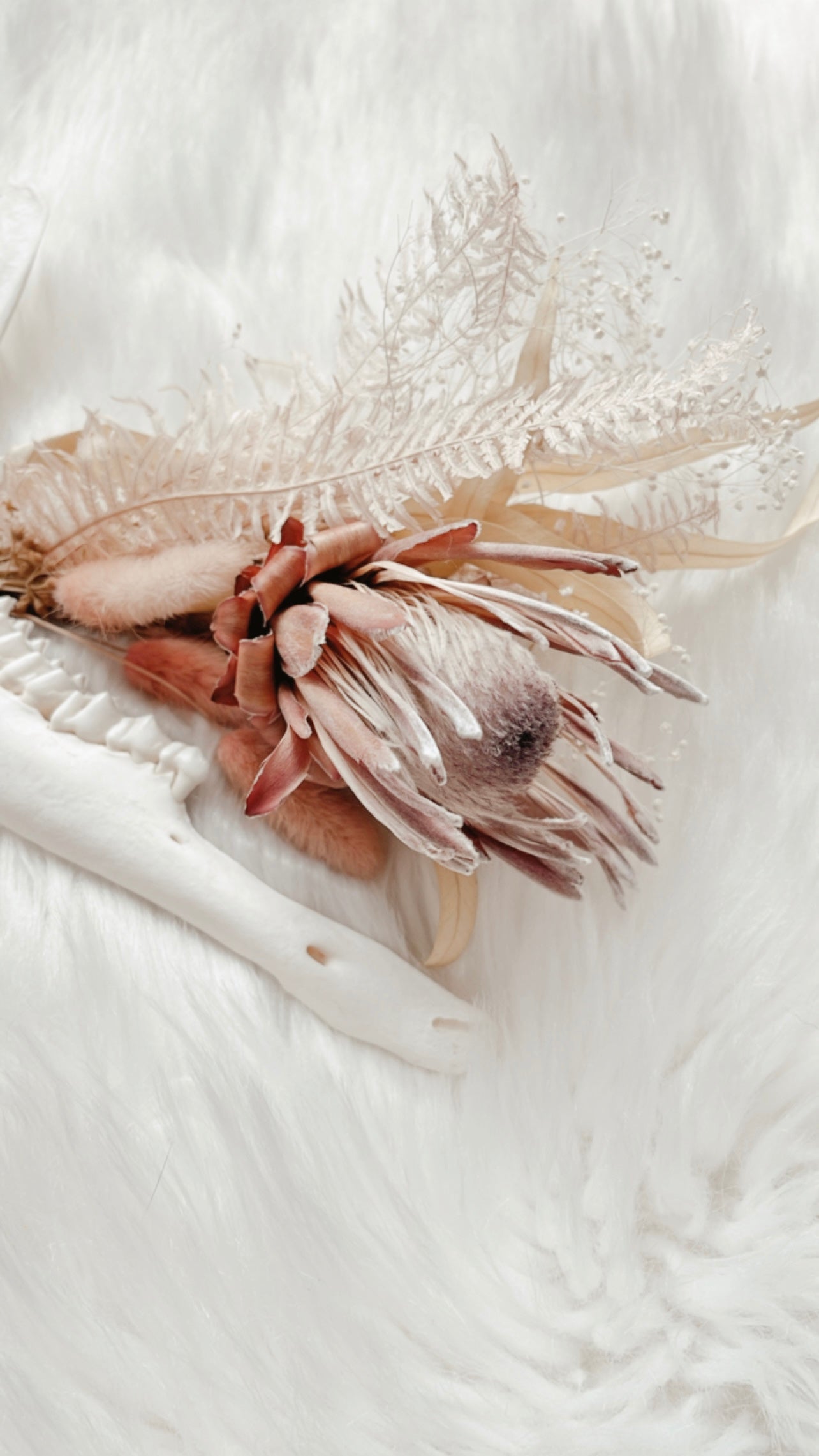 Deer Jaw Floral - Protea