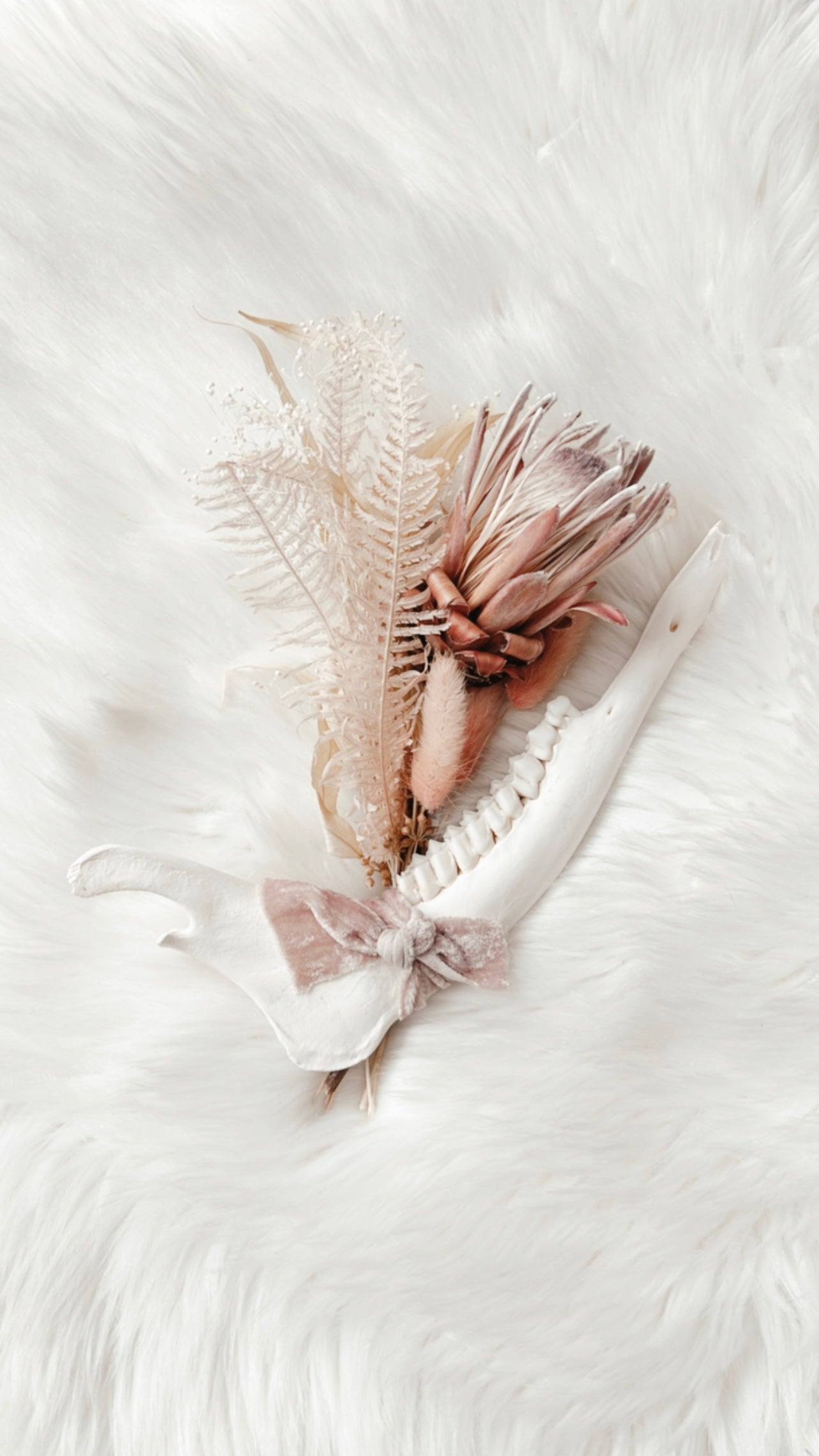 Deer Jaw Floral - Protea