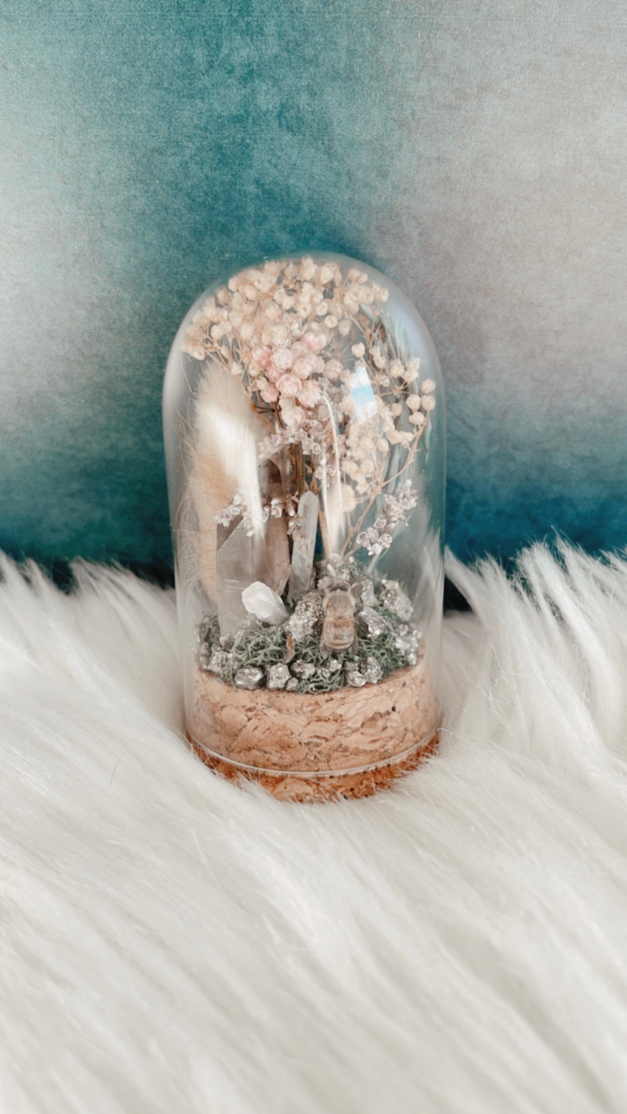 Delphine Terrarium