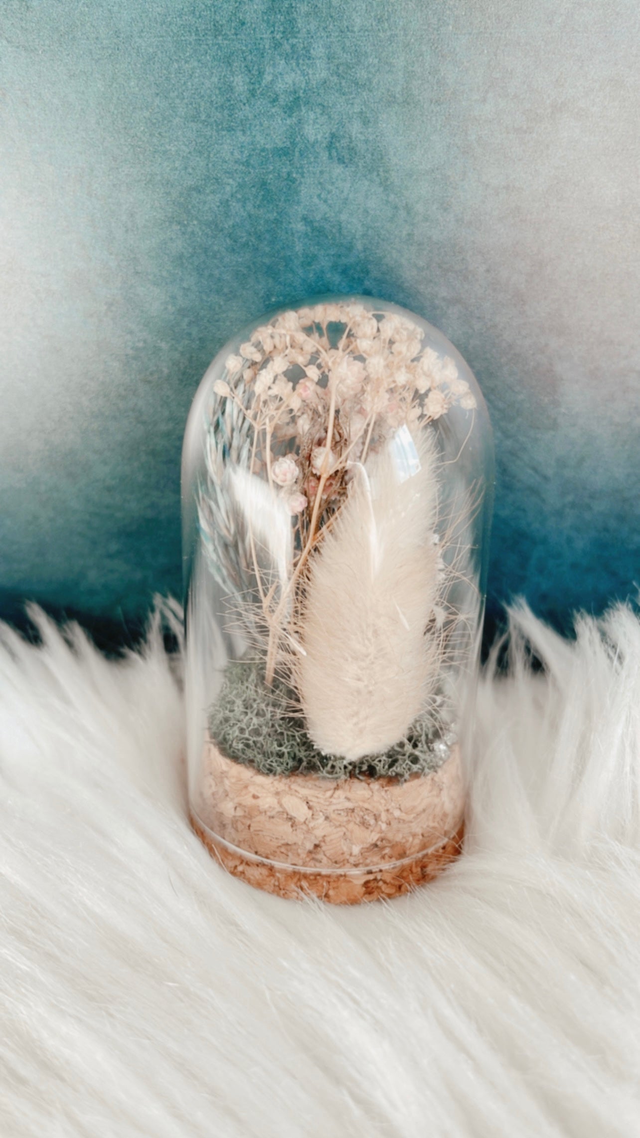 Delphine Terrarium