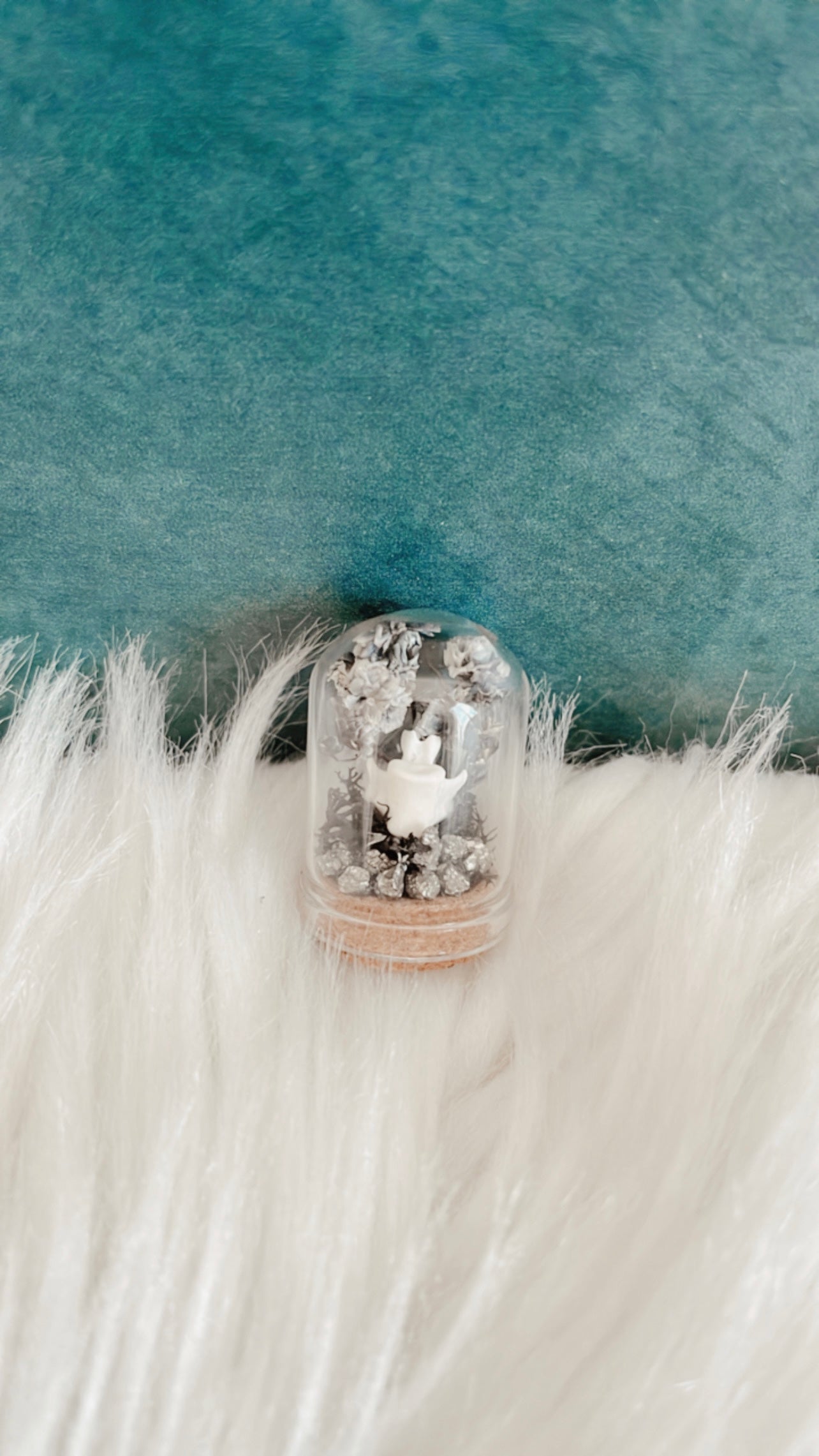 Desiree Mini Terrarium