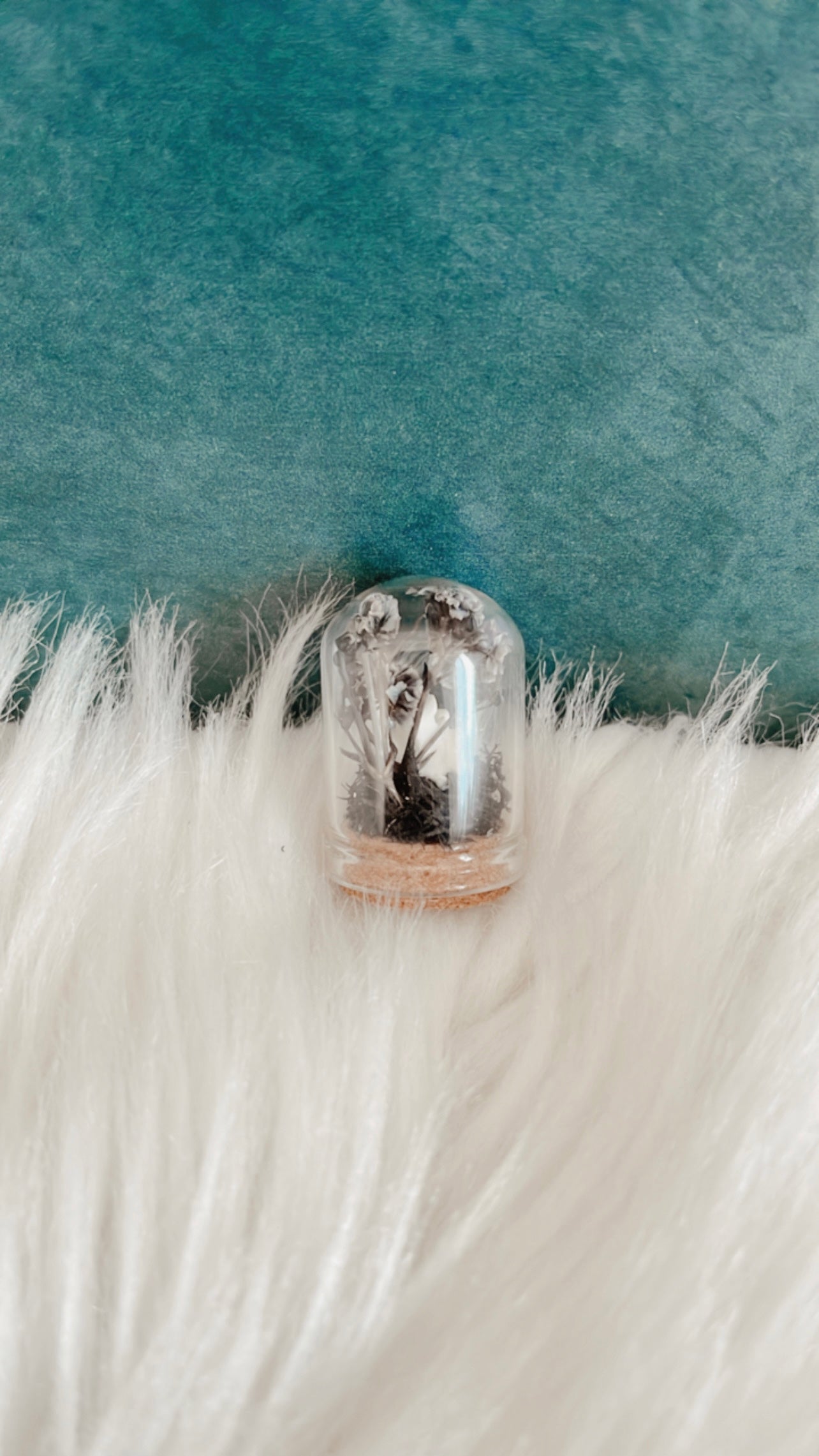 Desiree Mini Terrarium