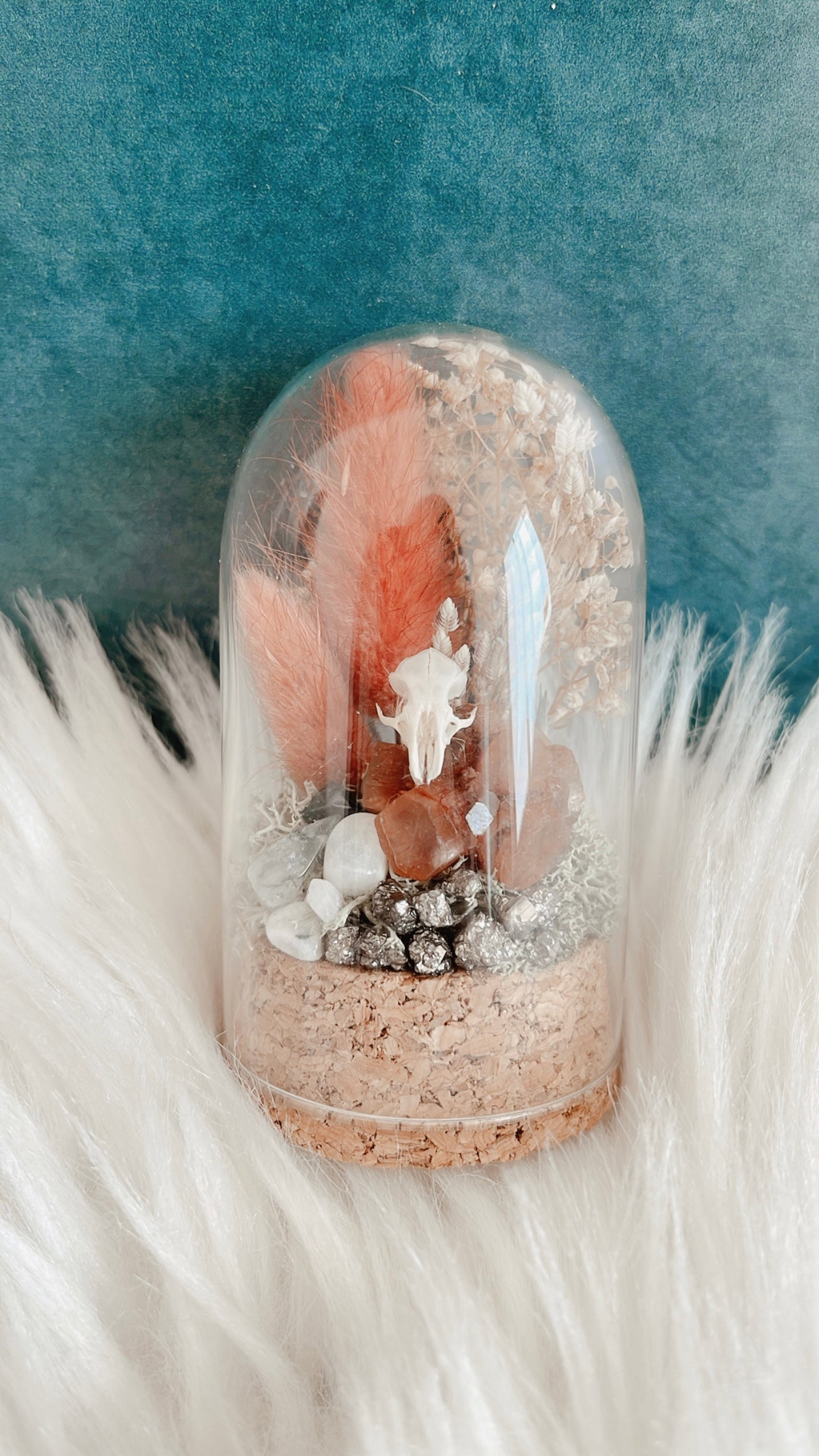 Dottie Terrarium