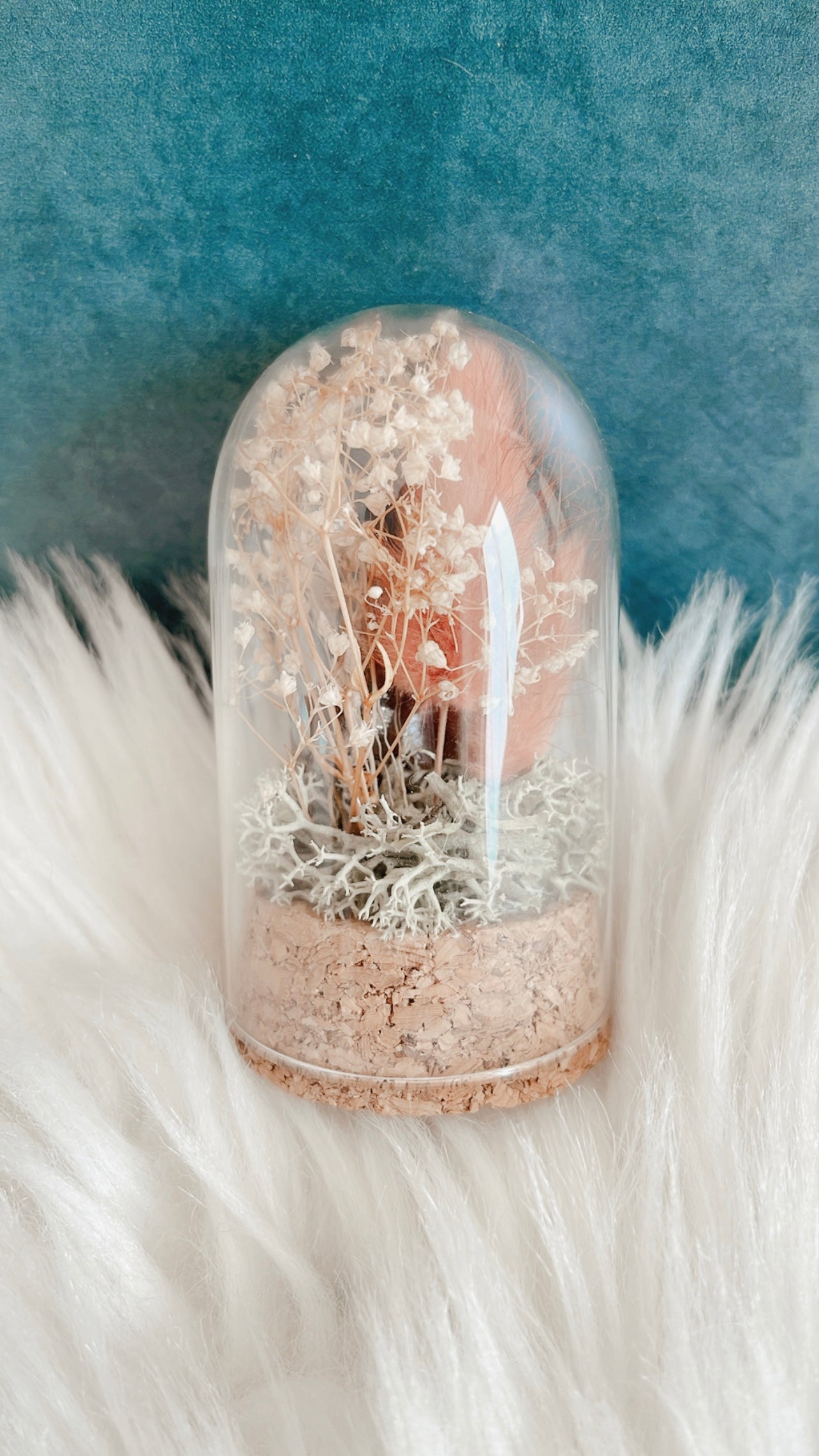 Dottie Terrarium