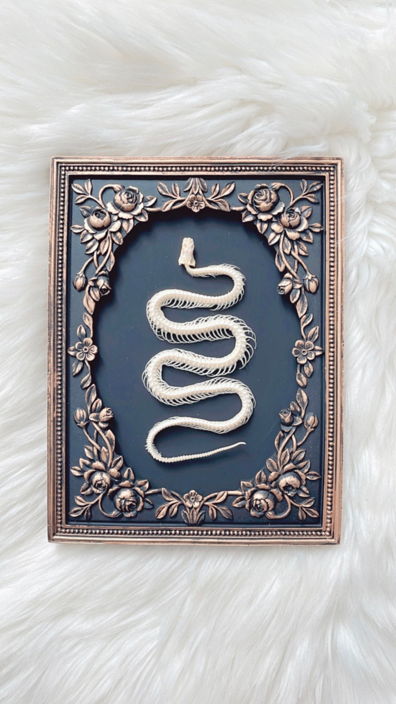 Eden Snake Skelly Frame