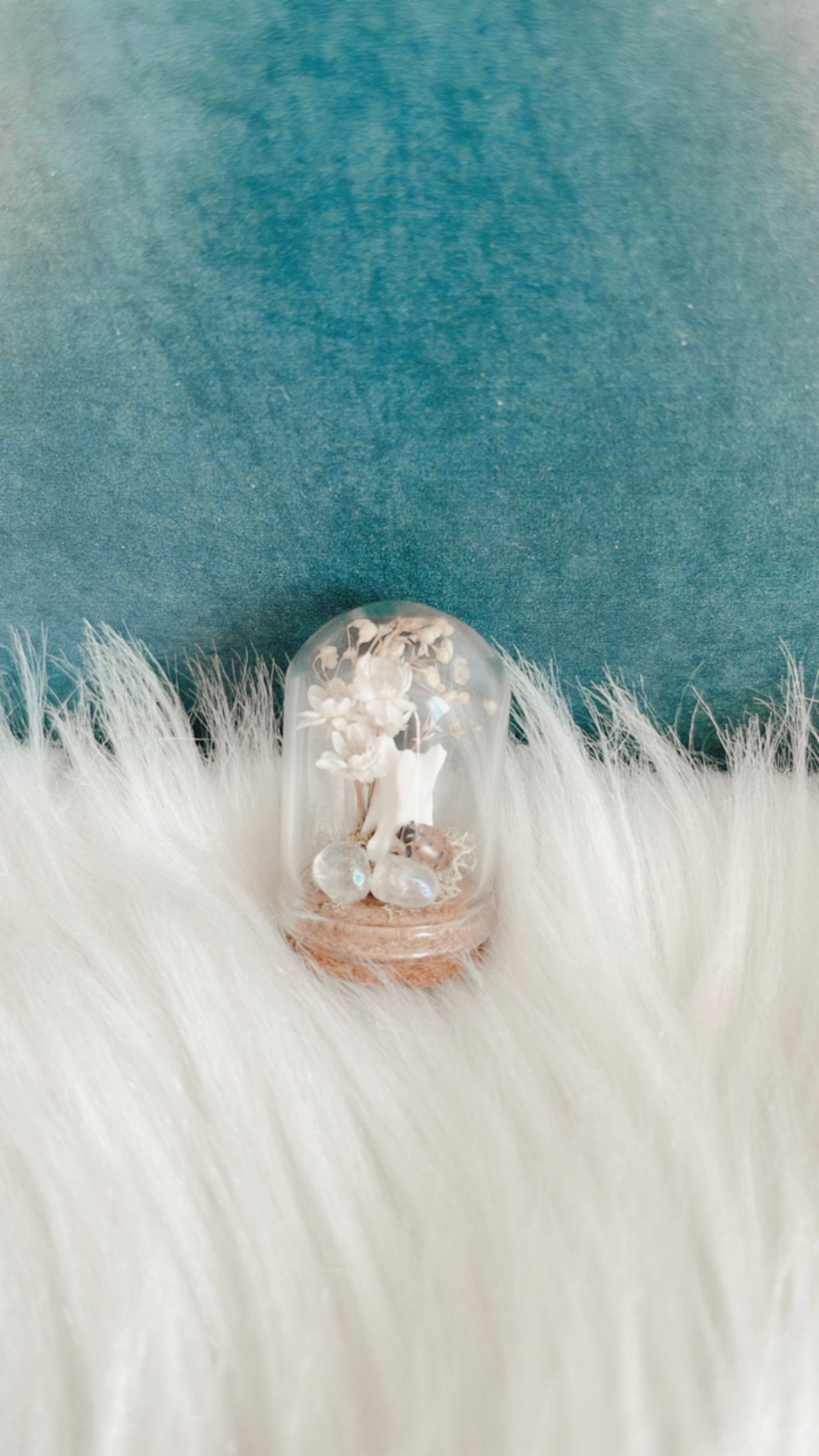 Ella Mini Terrarium
