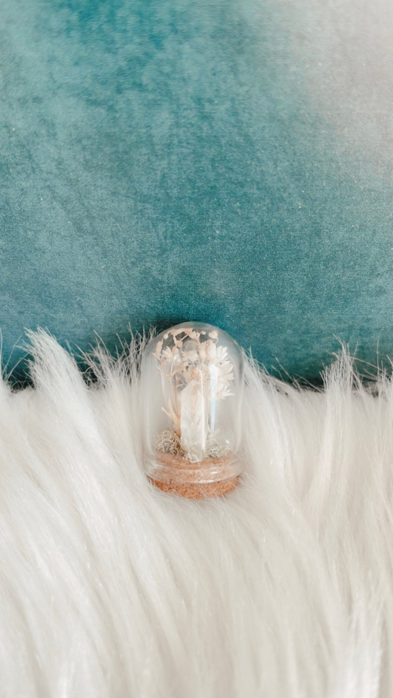 Ella Mini Terrarium