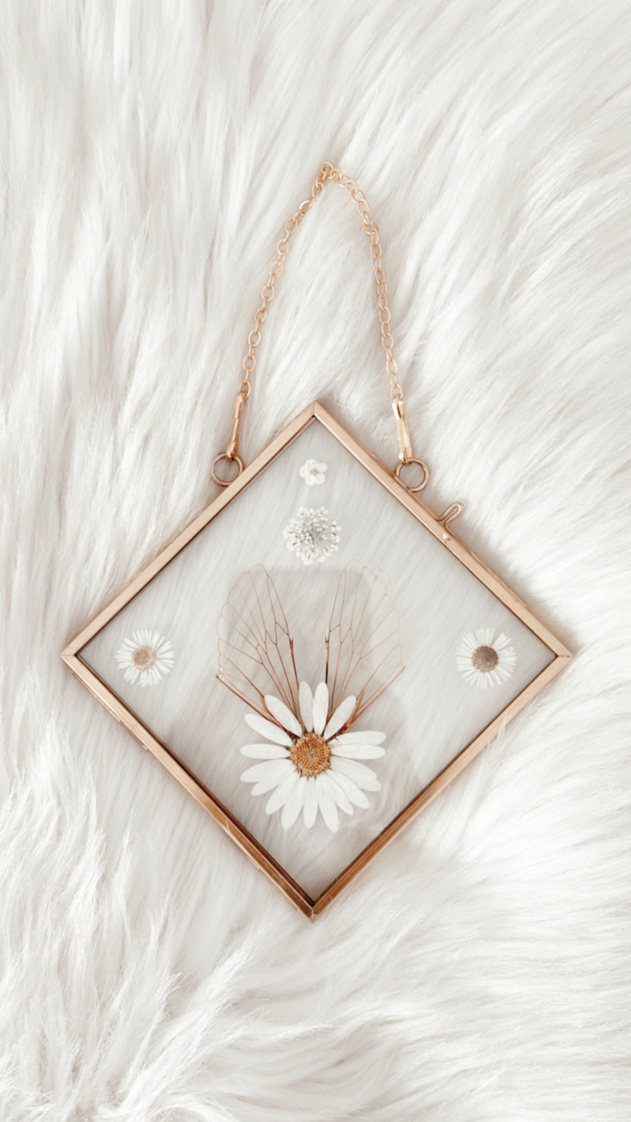 Elodie Cicada Floral Frame