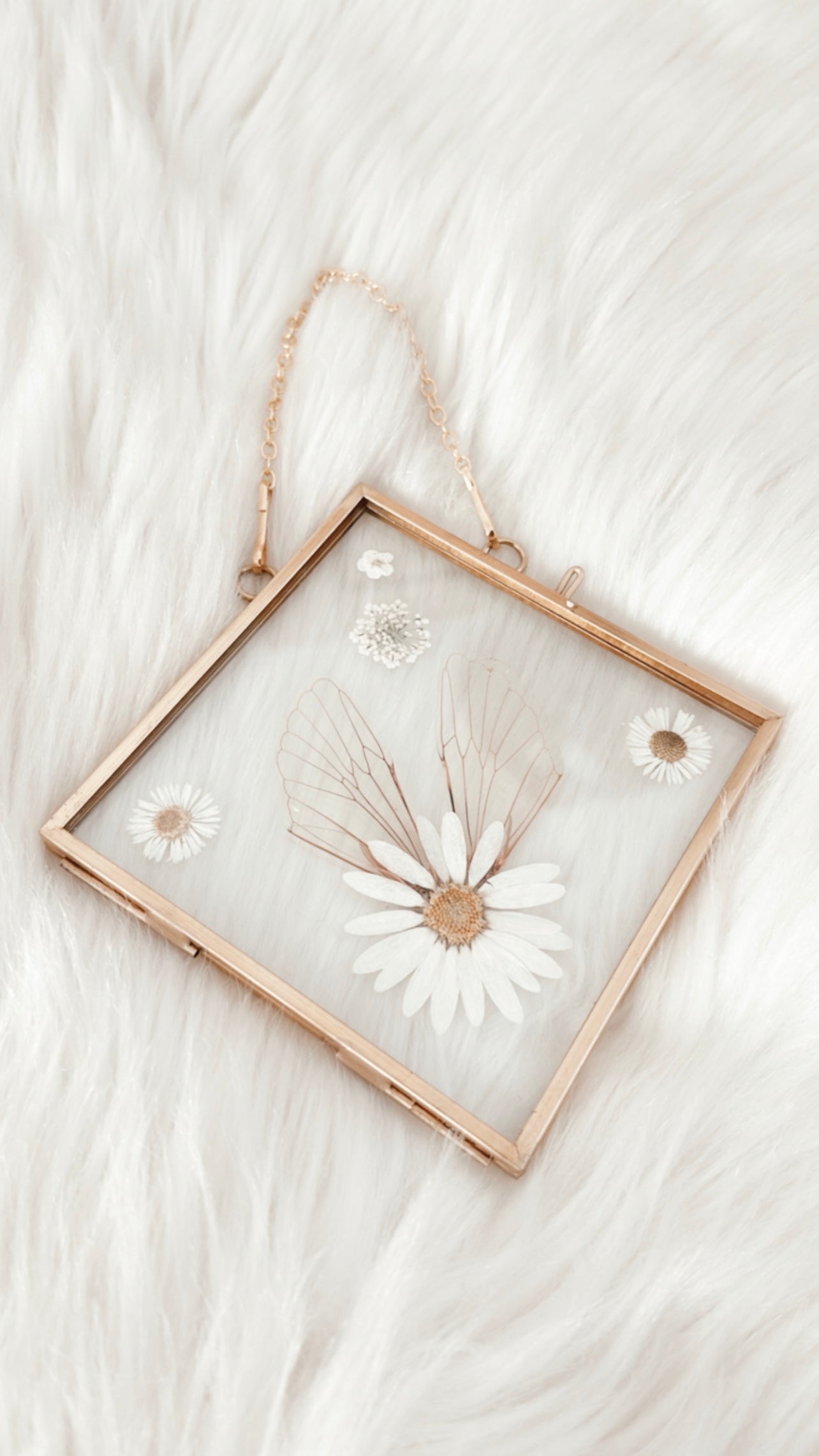 Elodie Cicada Floral Frame