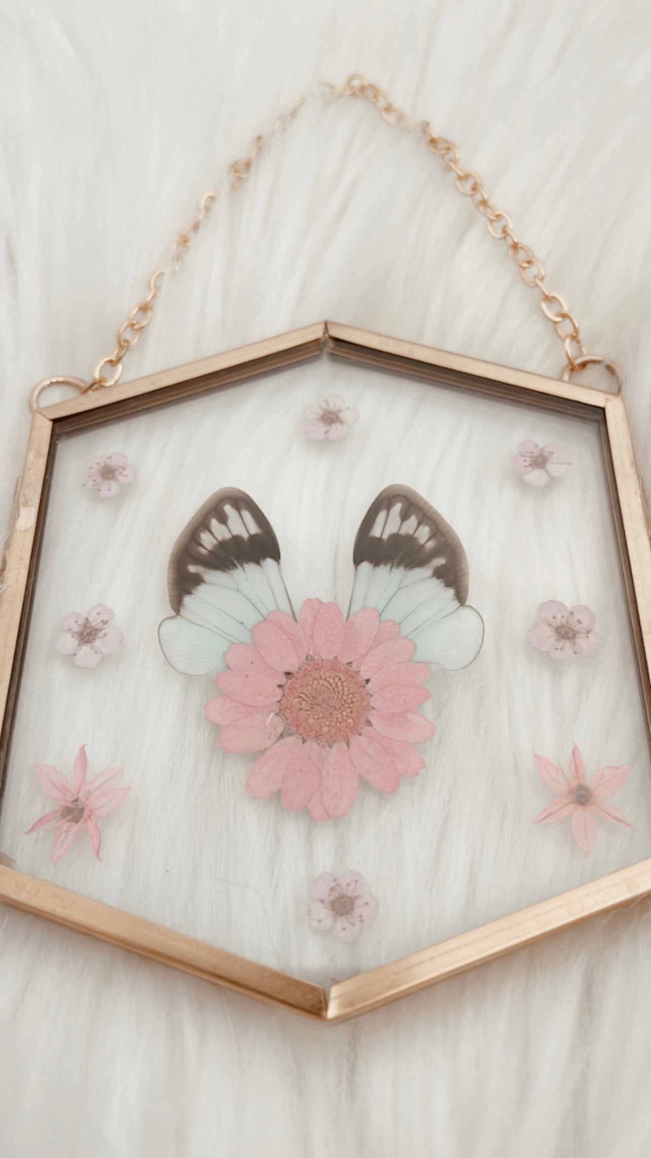 Elodie Cicada Floral Frame
