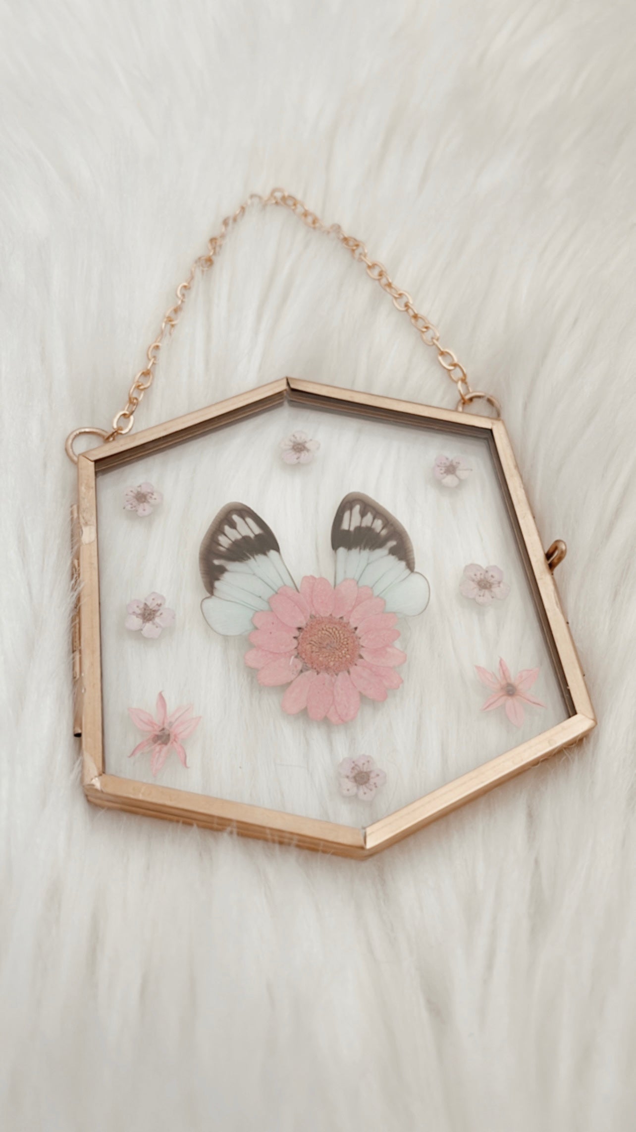 Elodie Cicada Floral Frame