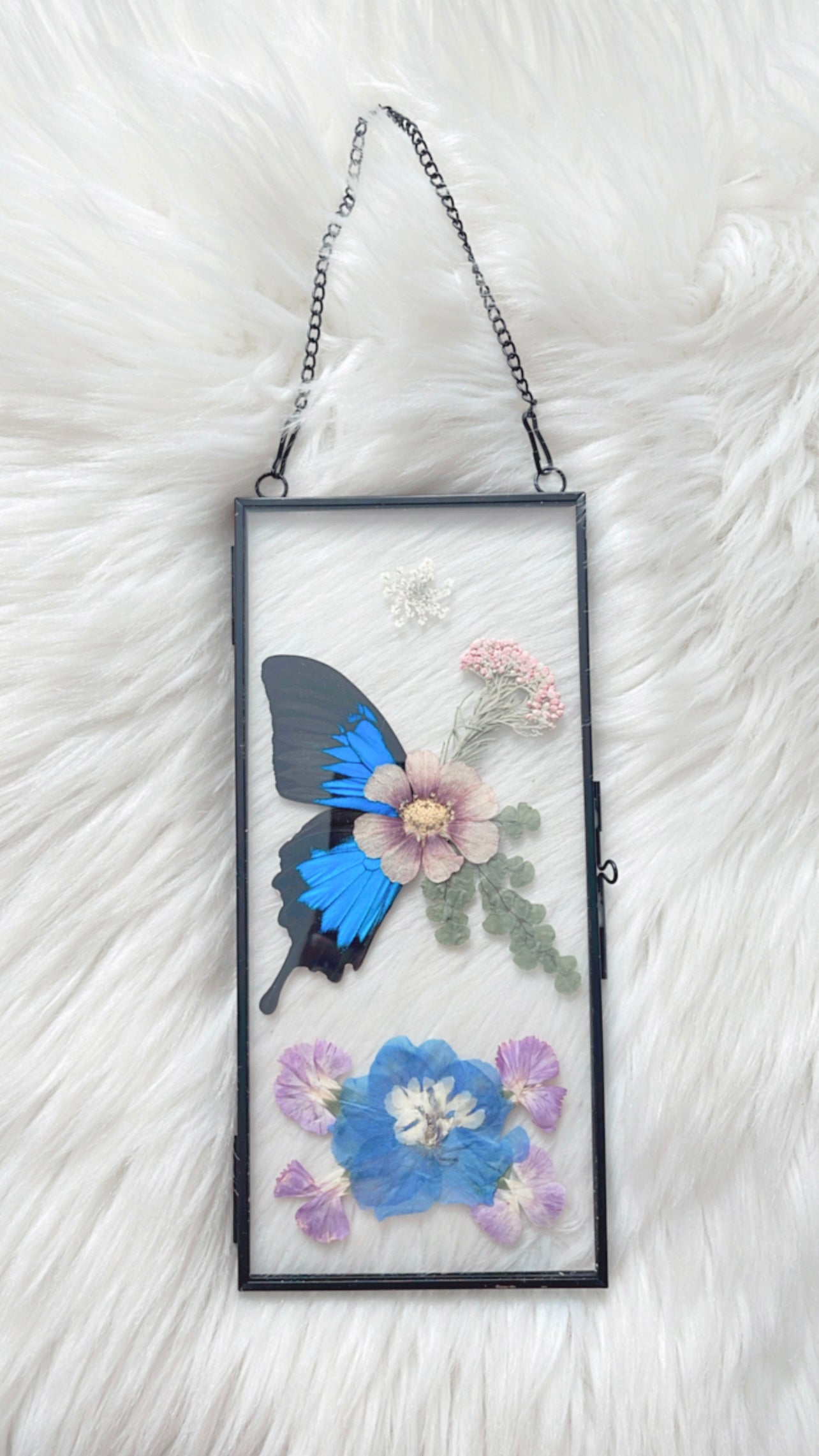 Eloise Butterfly Floral Frame