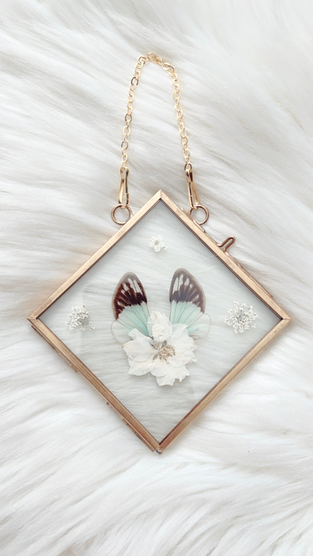 Eloise Cicada Floral Frame
