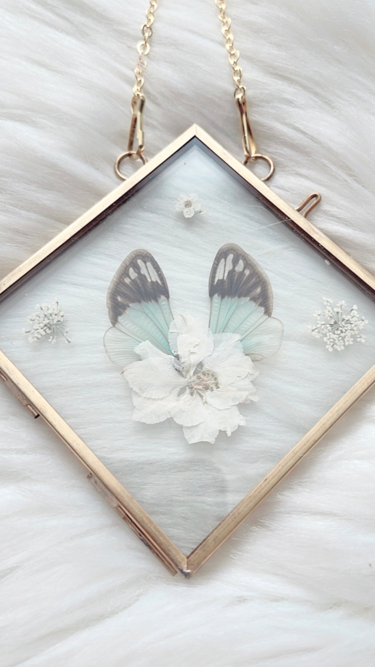 Eloise Cicada Floral Frame