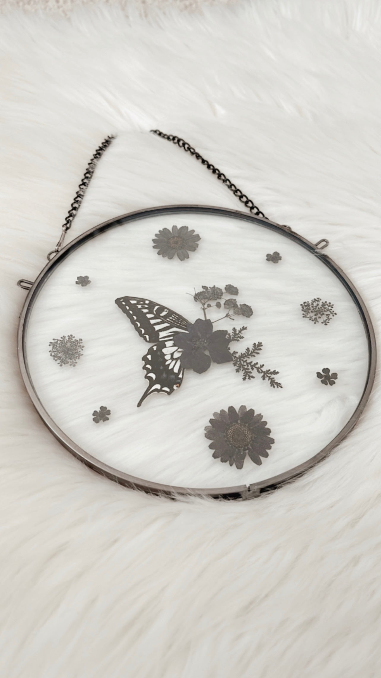 Eloise Butterfly Floral Frame