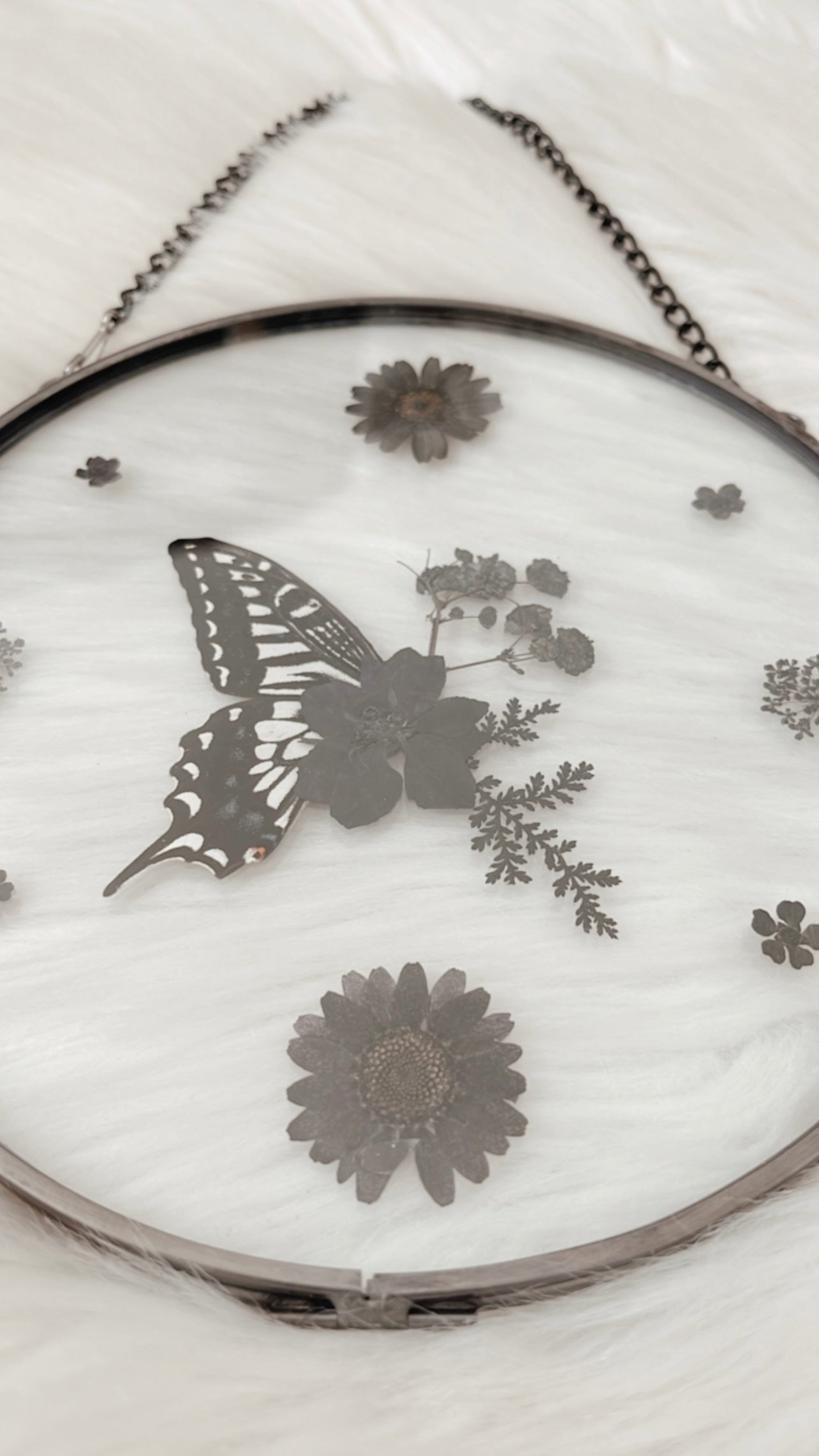 Eloise Butterfly Floral Frame