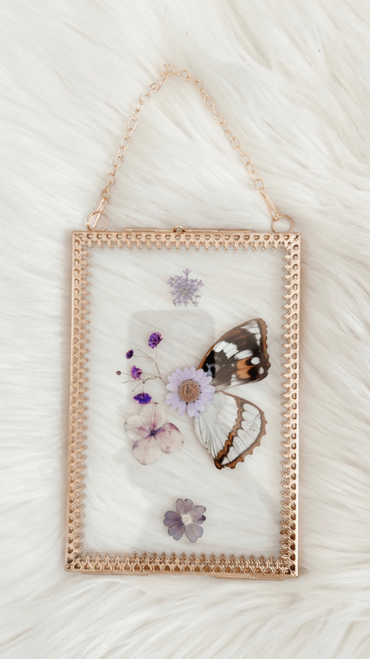 Elyna Butterfly Floral Frame