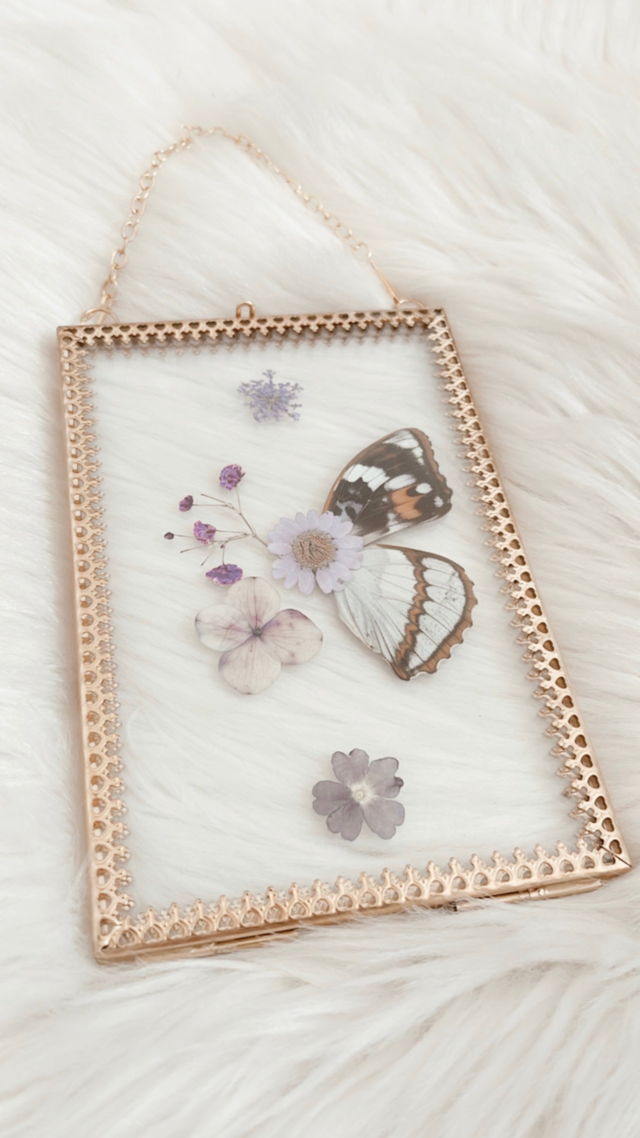 Elyna Butterfly Floral Frame