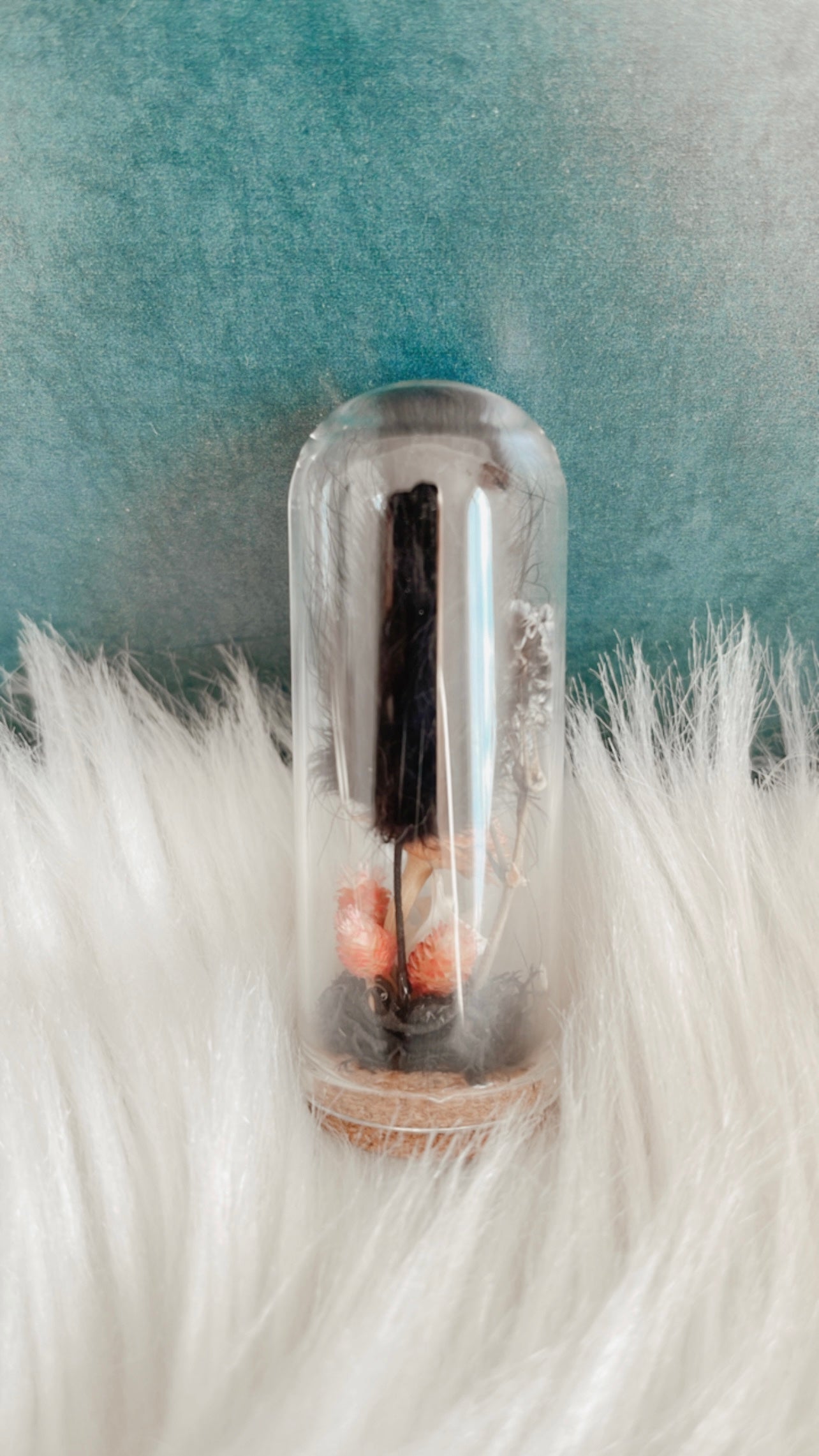Emaline Terrarium