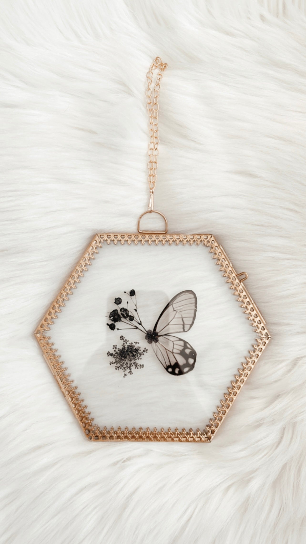 Emile Butterfly Floral Frame