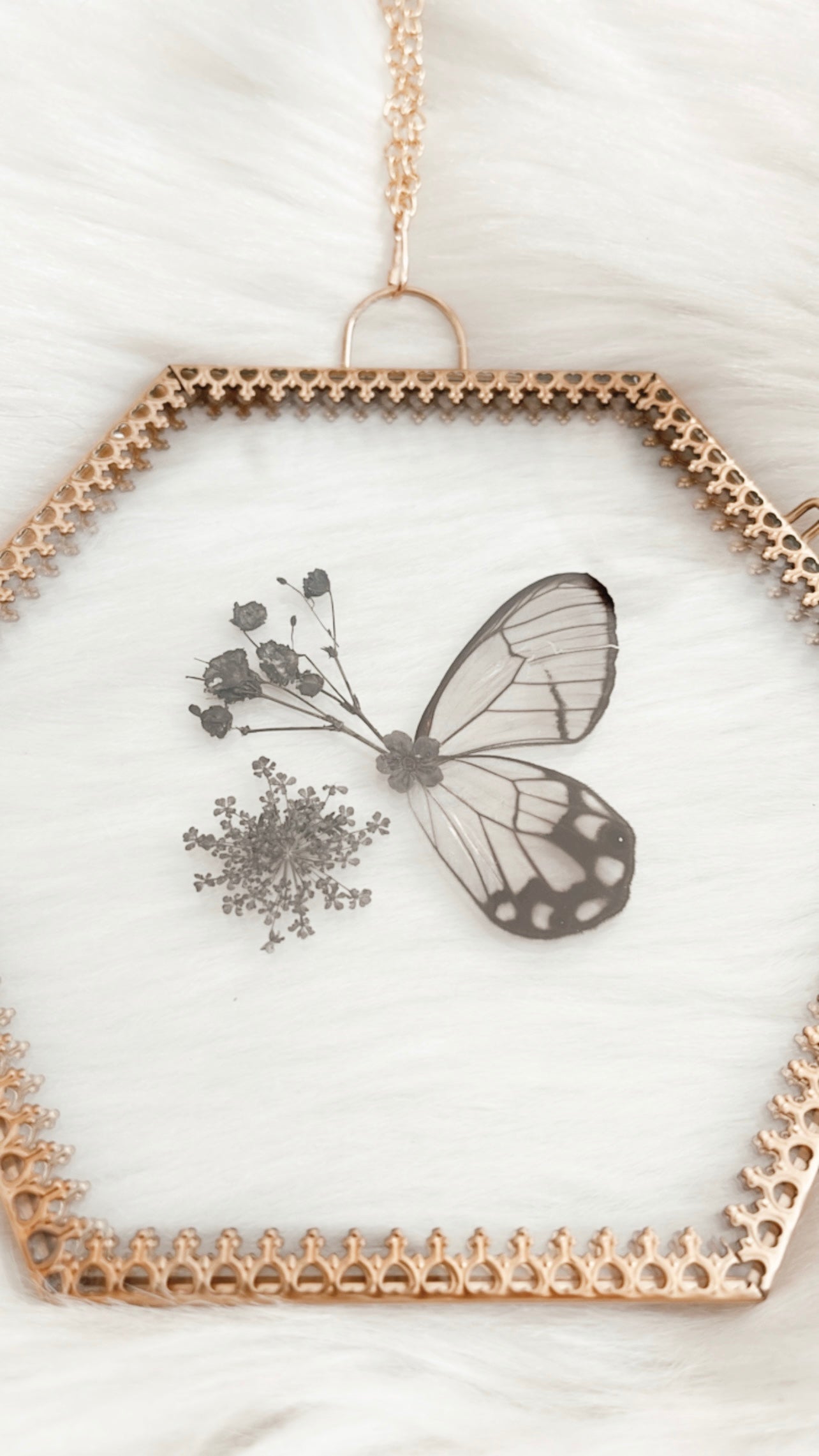 Emile Butterfly Floral Frame