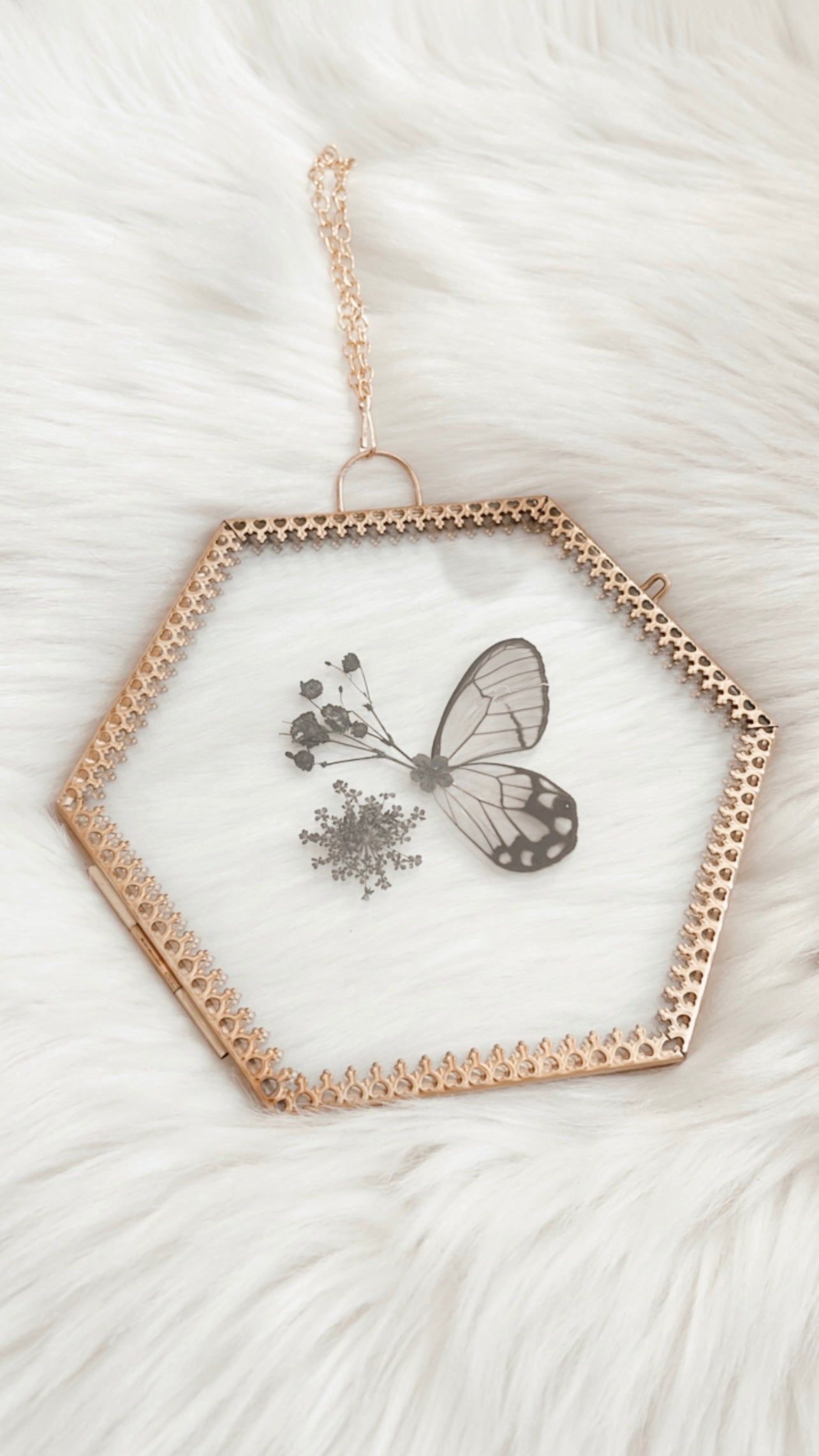 Emile Butterfly Floral Frame
