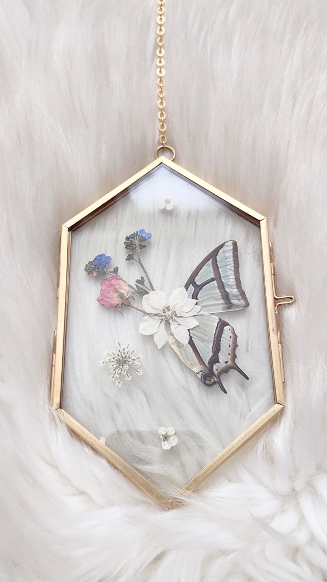 Emma Butterfly Floral Frame <3.5x6in>