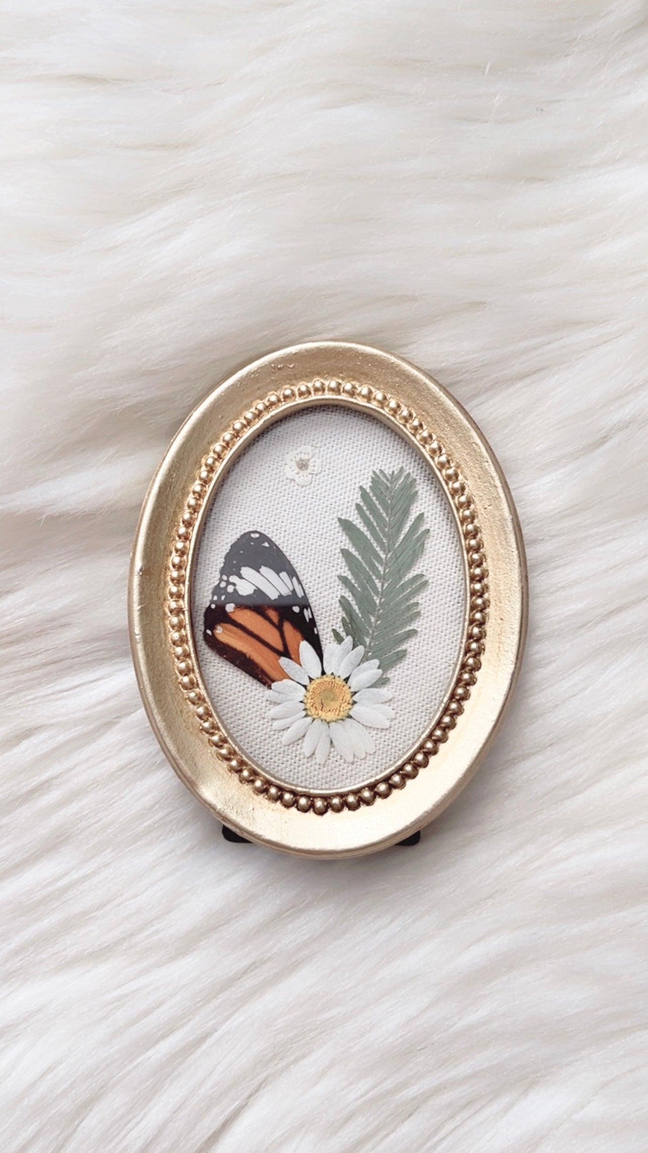 Emmeline Butterfly Ornate Frame