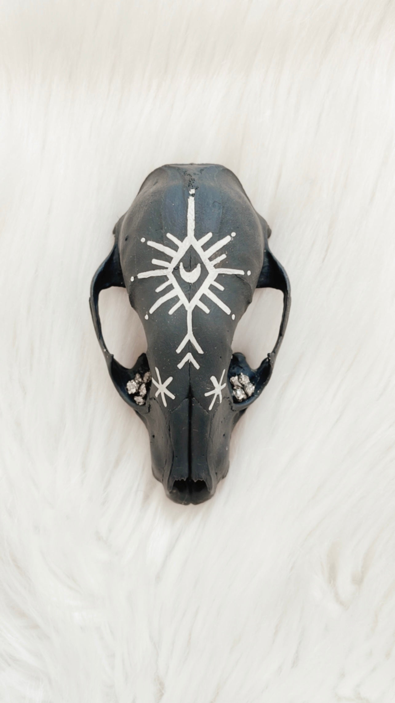 Emmett Raccoon Skull