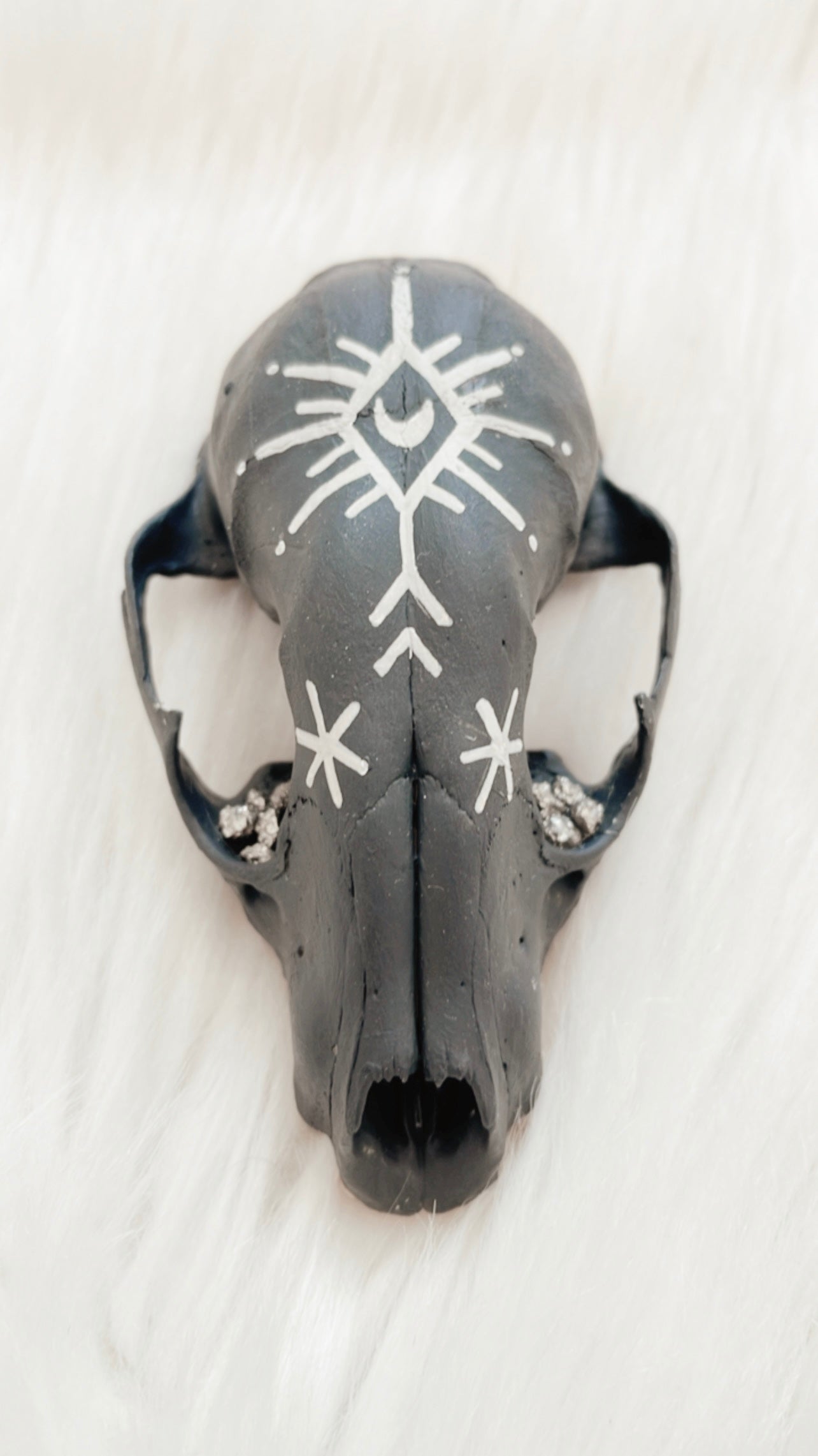 Emmett Raccoon Skull