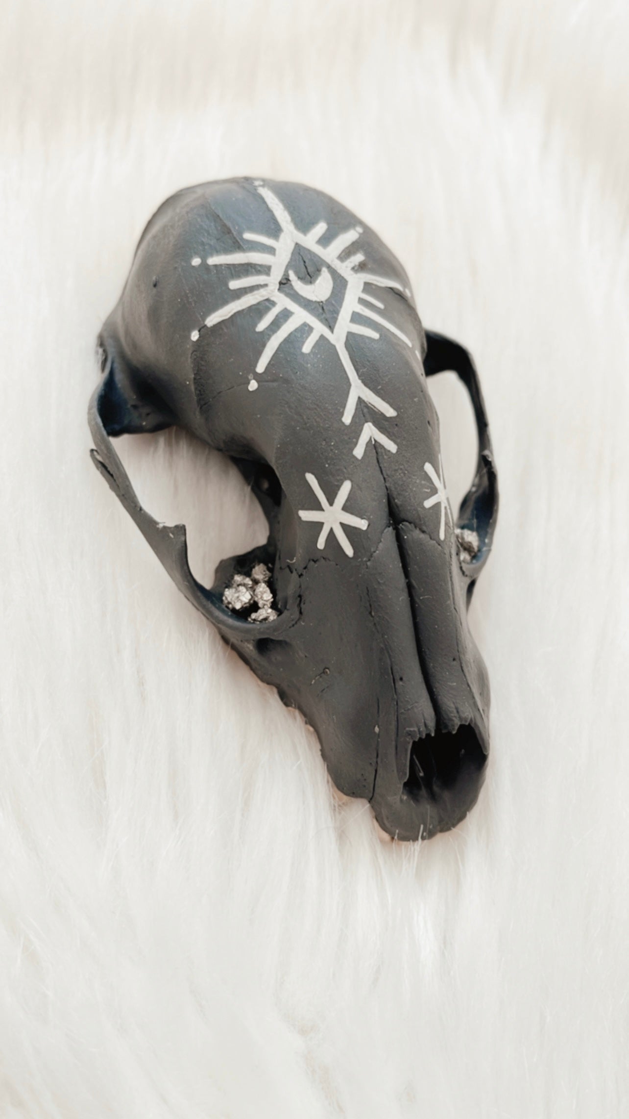 Emmett Raccoon Skull