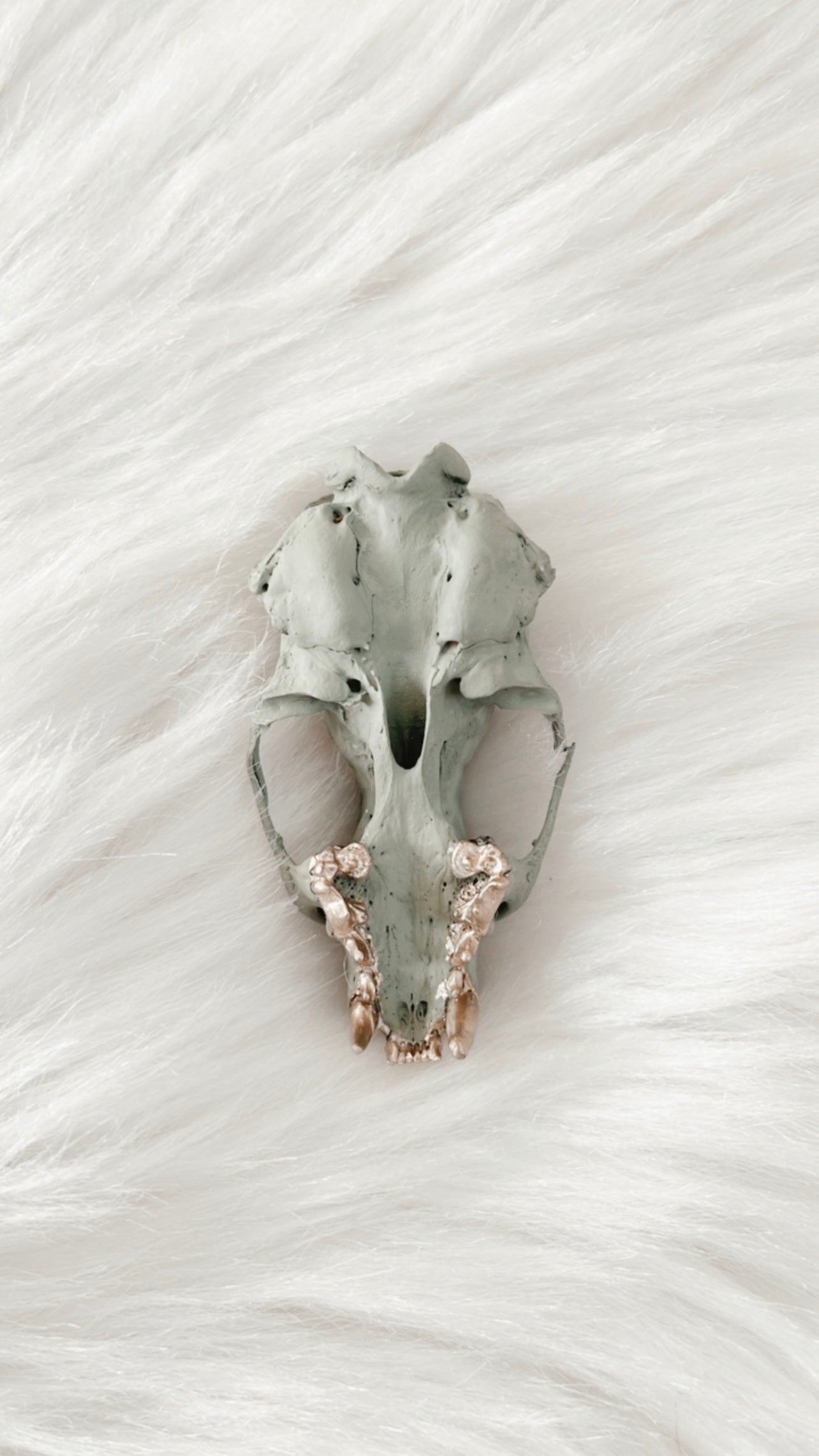 Enya Mink Skull