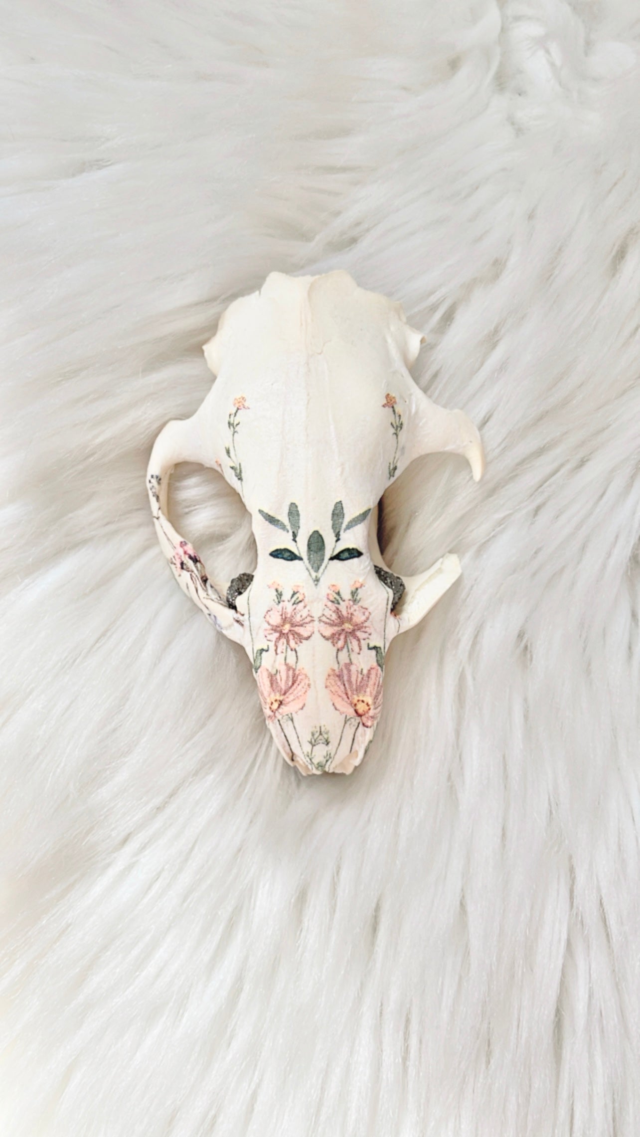 Esme Beaver Skull