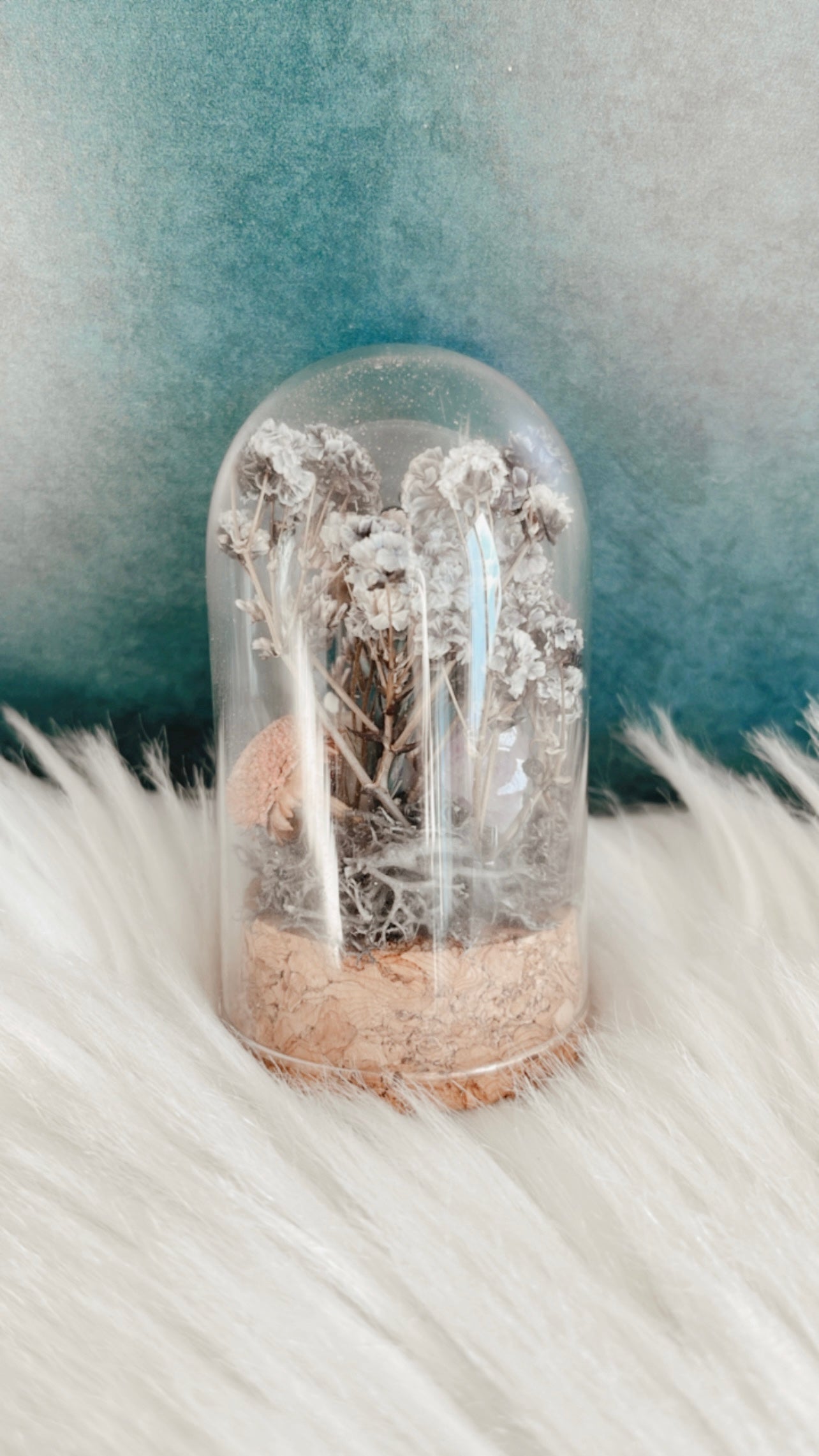 Esmerelda Terrarium